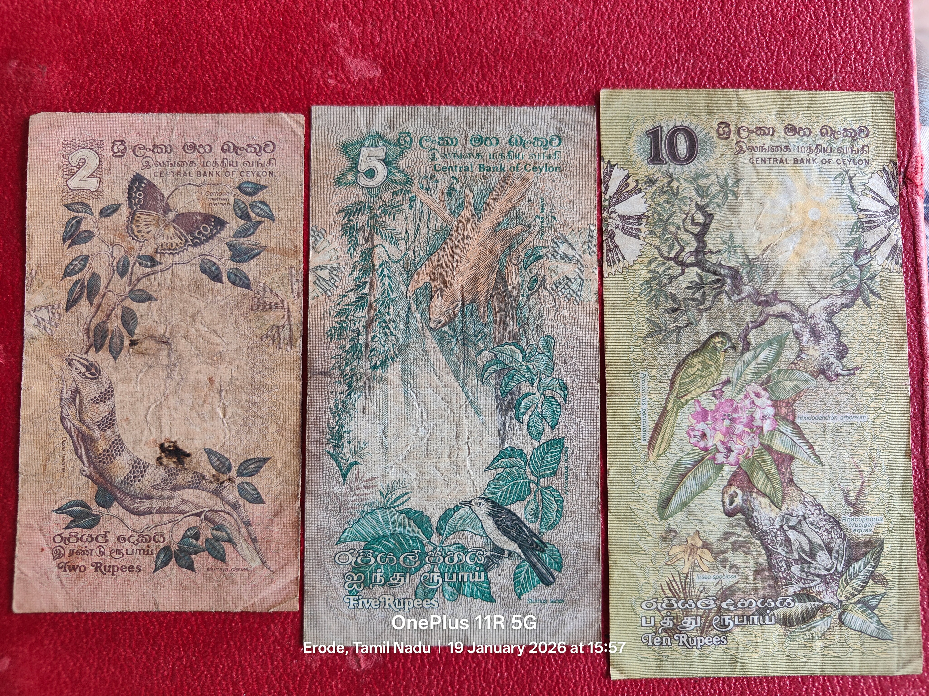 CENTRAL BANK OF CEYLON 2,5,&10 RUPEES BIRDS SERIES ( D629 )