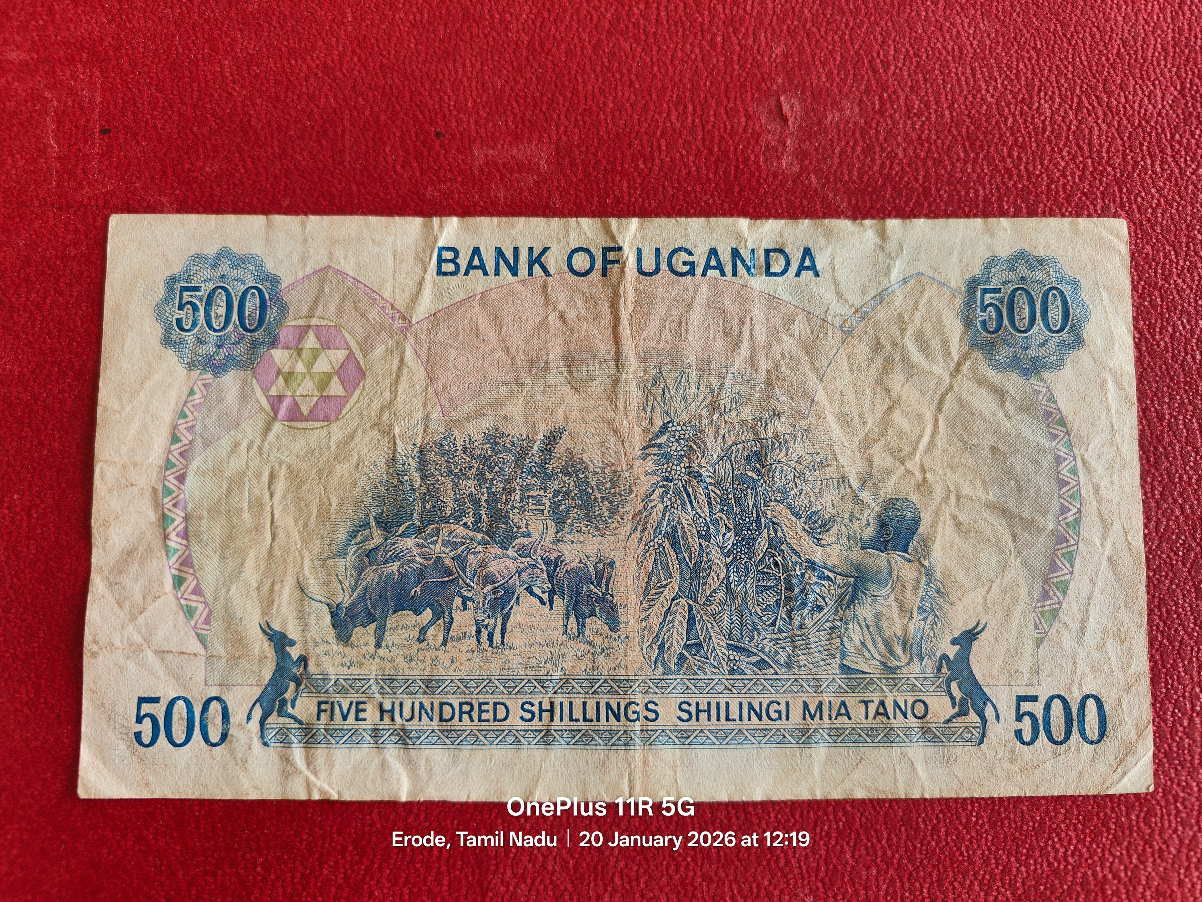 BANK OF UGANDA 500 SHILLINGS ( C665 )