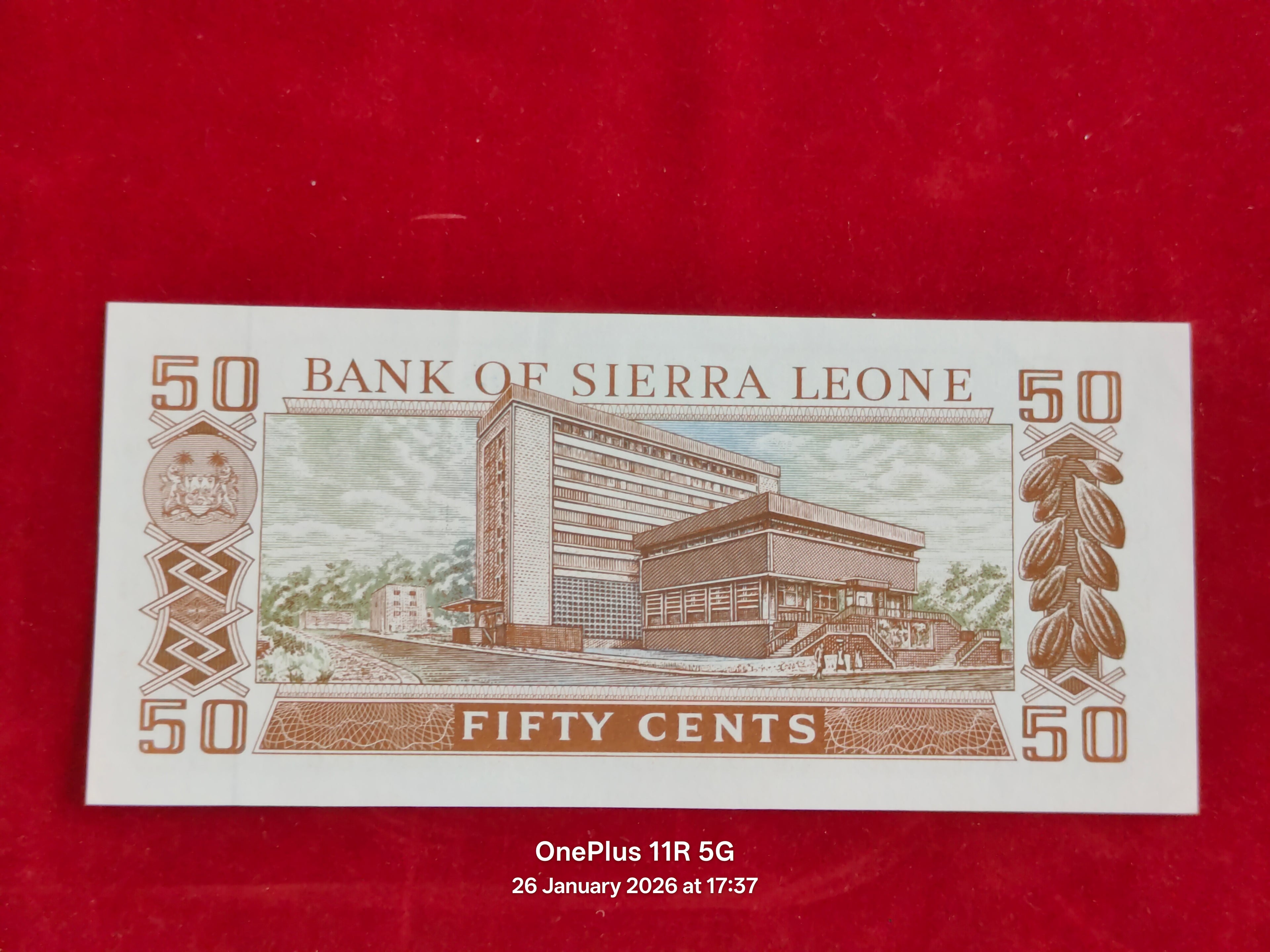 BANK OF SIERRA LEONE 50 CENT ( D280 )