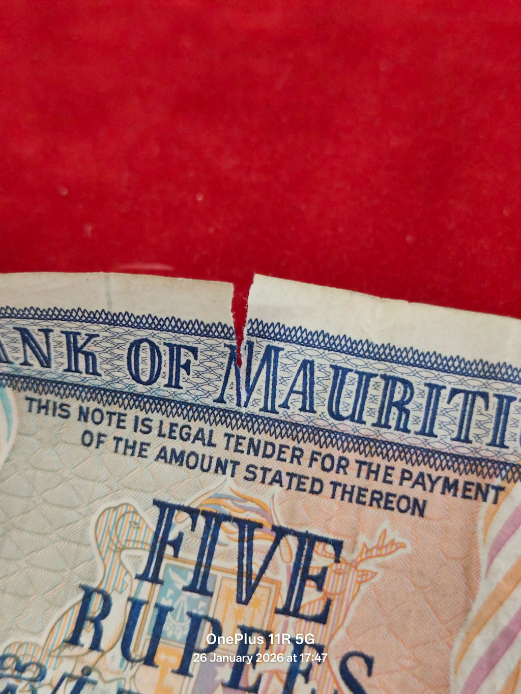 BANK OF MAURITIUS 5 RUPEES ( C925 )