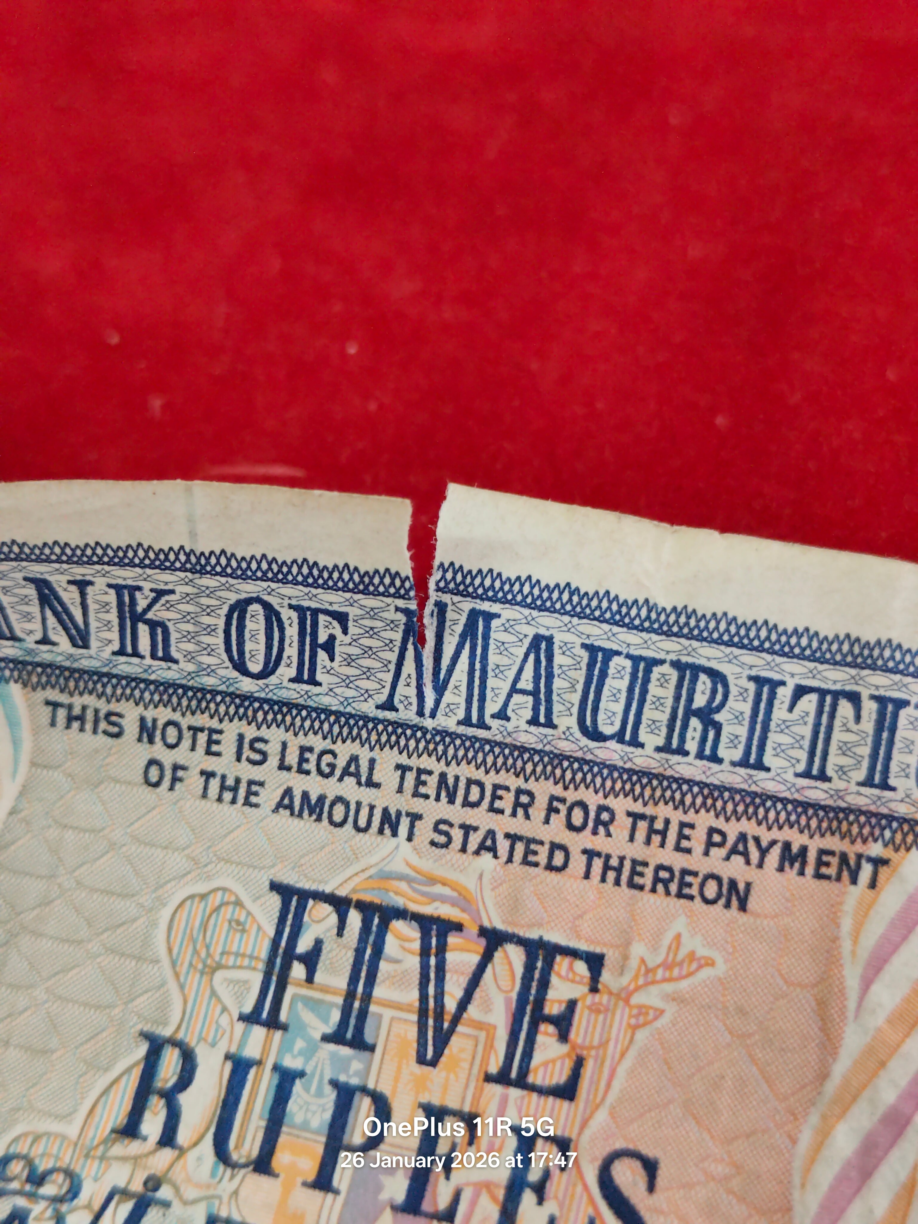 BANK OF MAURITIUS 5 RUPEES ( C925 )