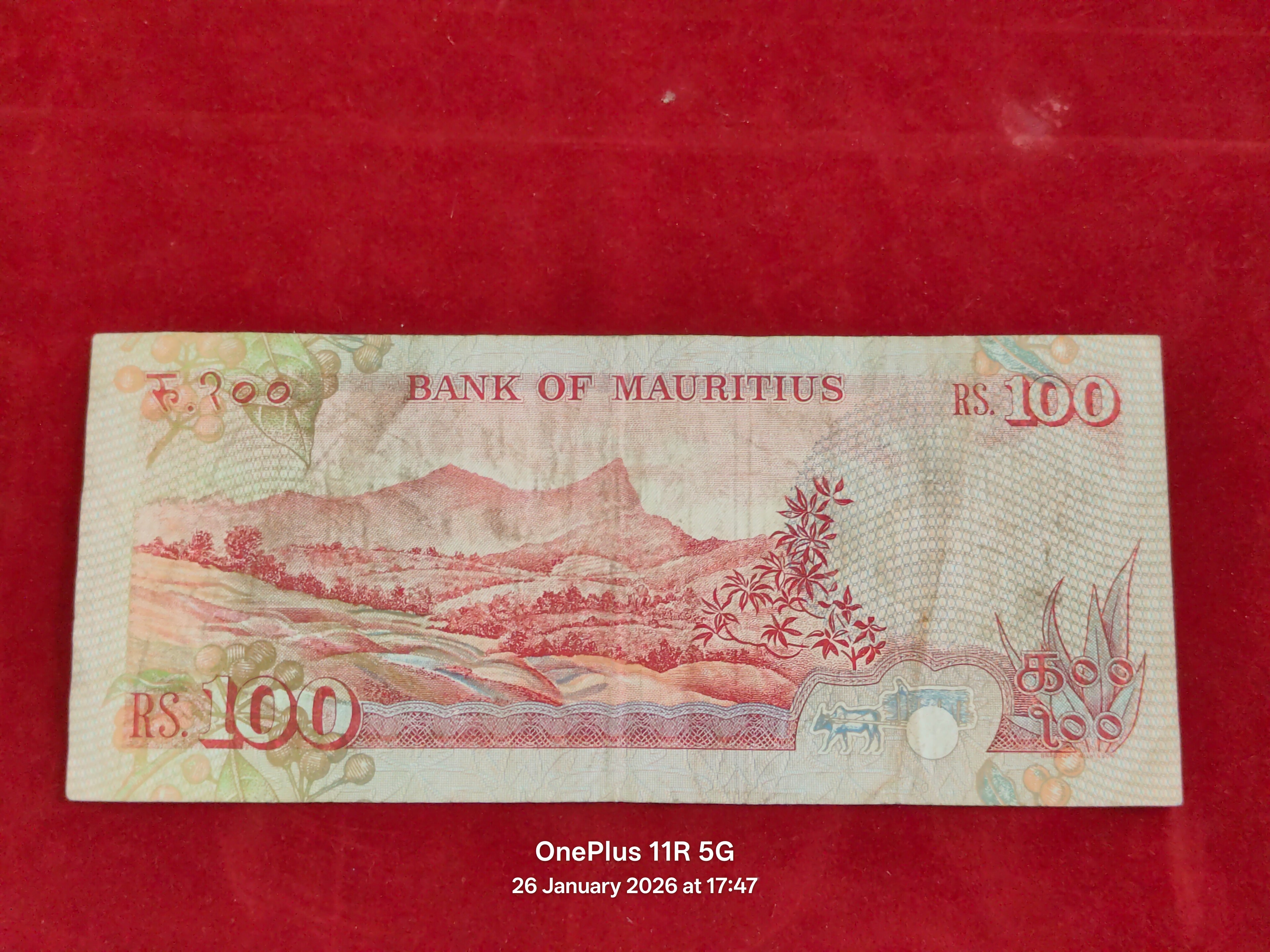BANK OF MAURITIUS 100 RUPEES ( C898 )