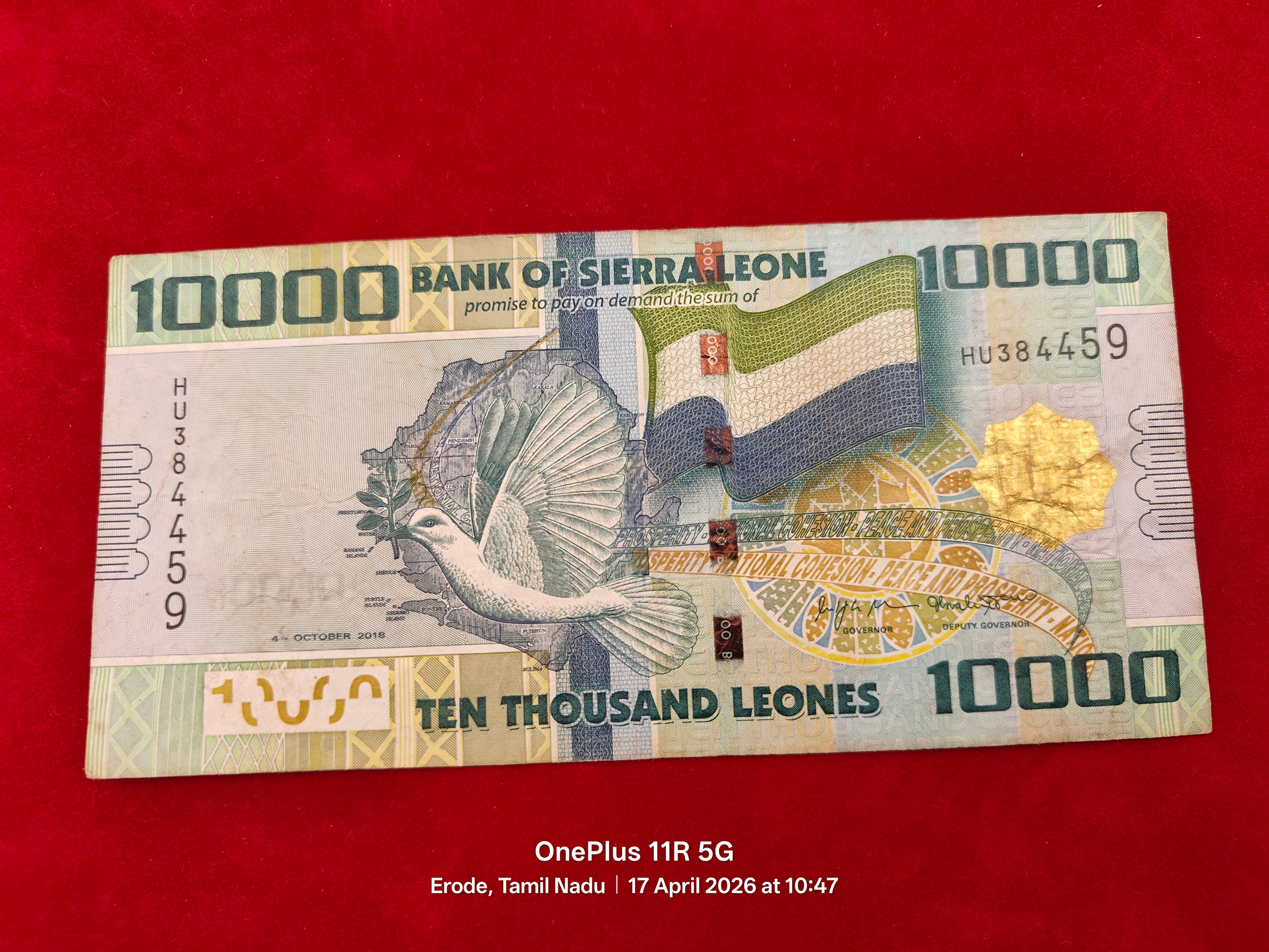 BANK OF SIERRA LEONE 10000 LEONES (D 445)