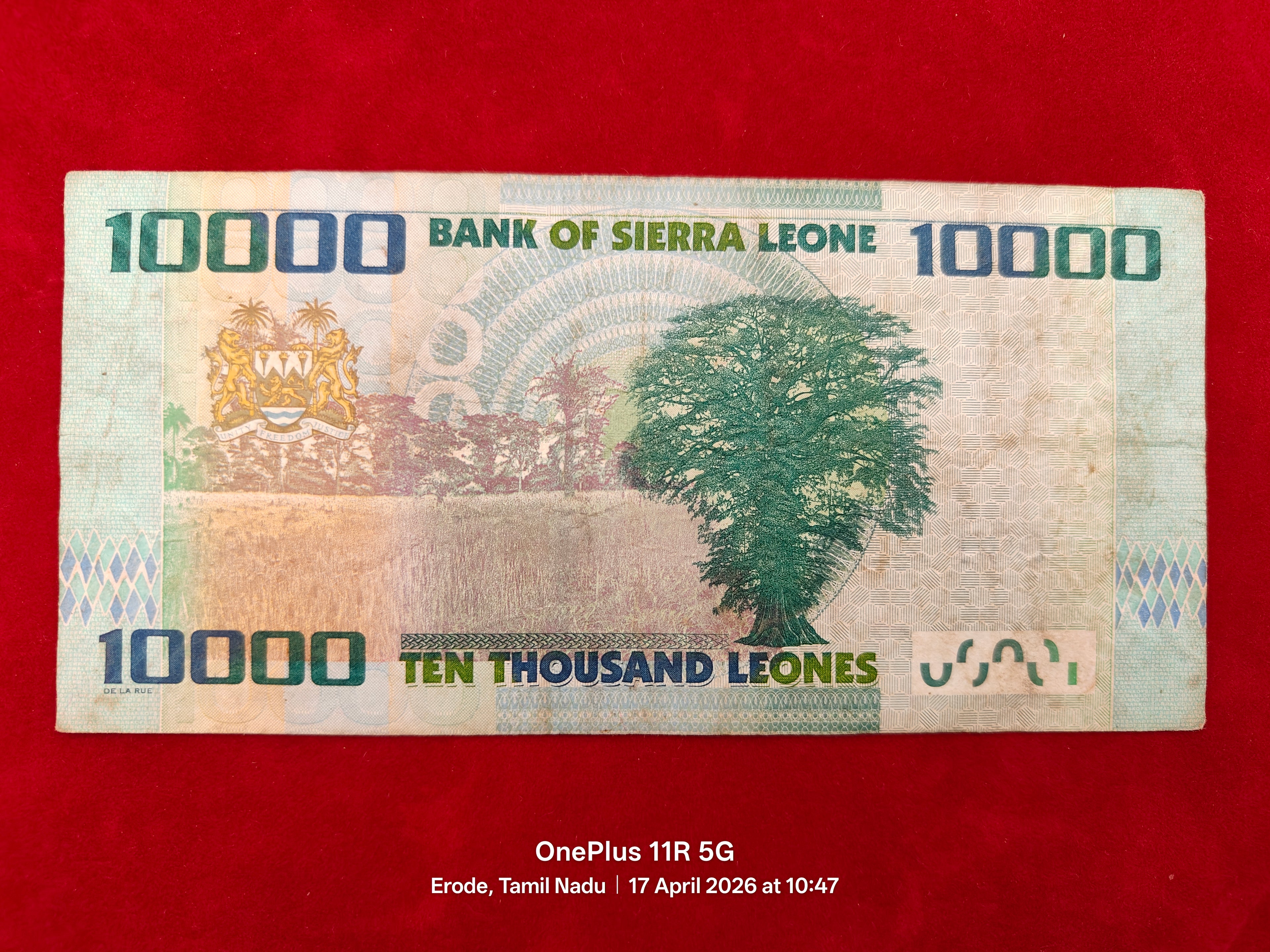 BANK OF SIERRA LEONE 10000 LEONES (D 445)