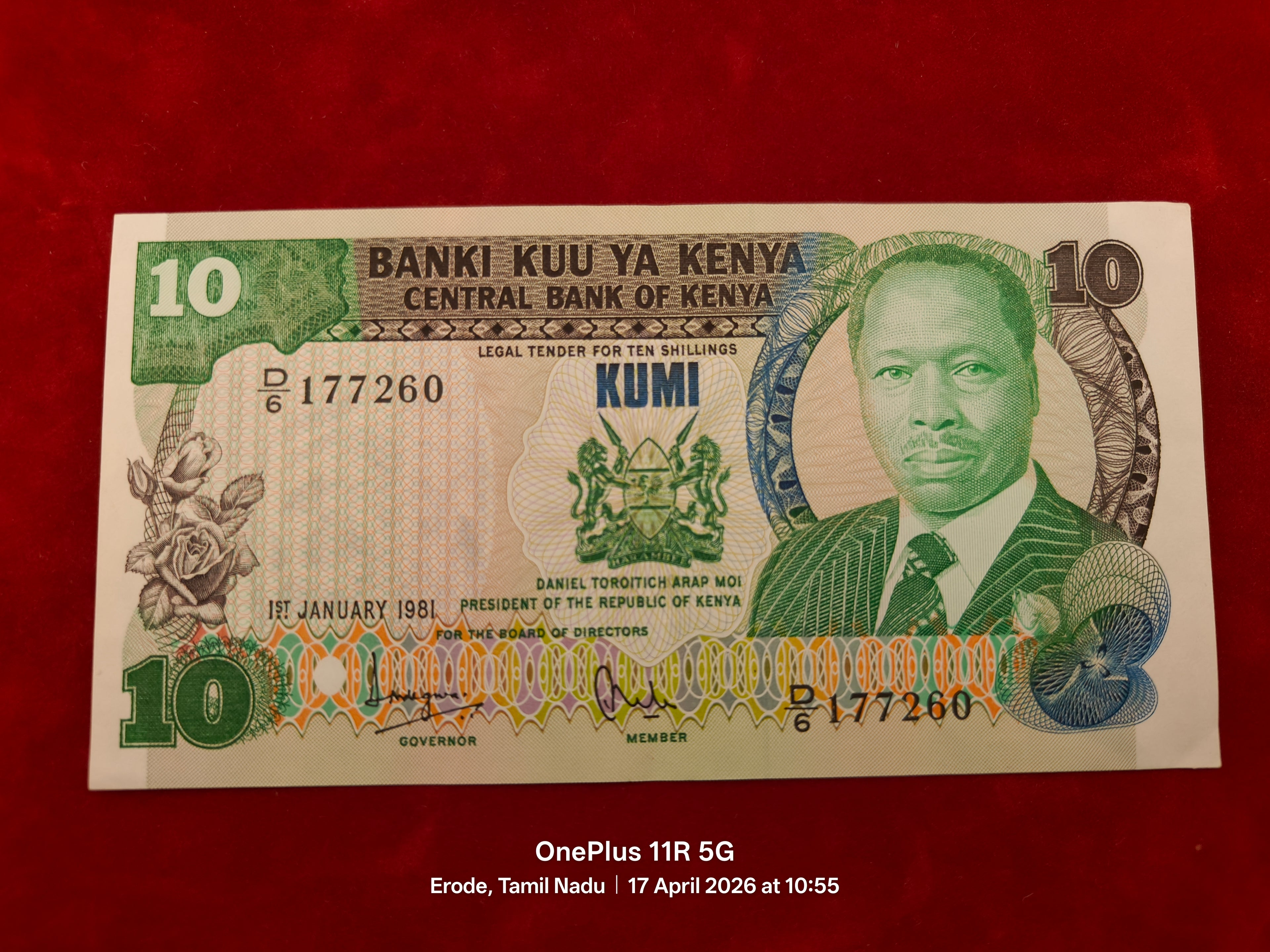 CENTRAL BANK OF KENYA 10 KUMI (C 956)