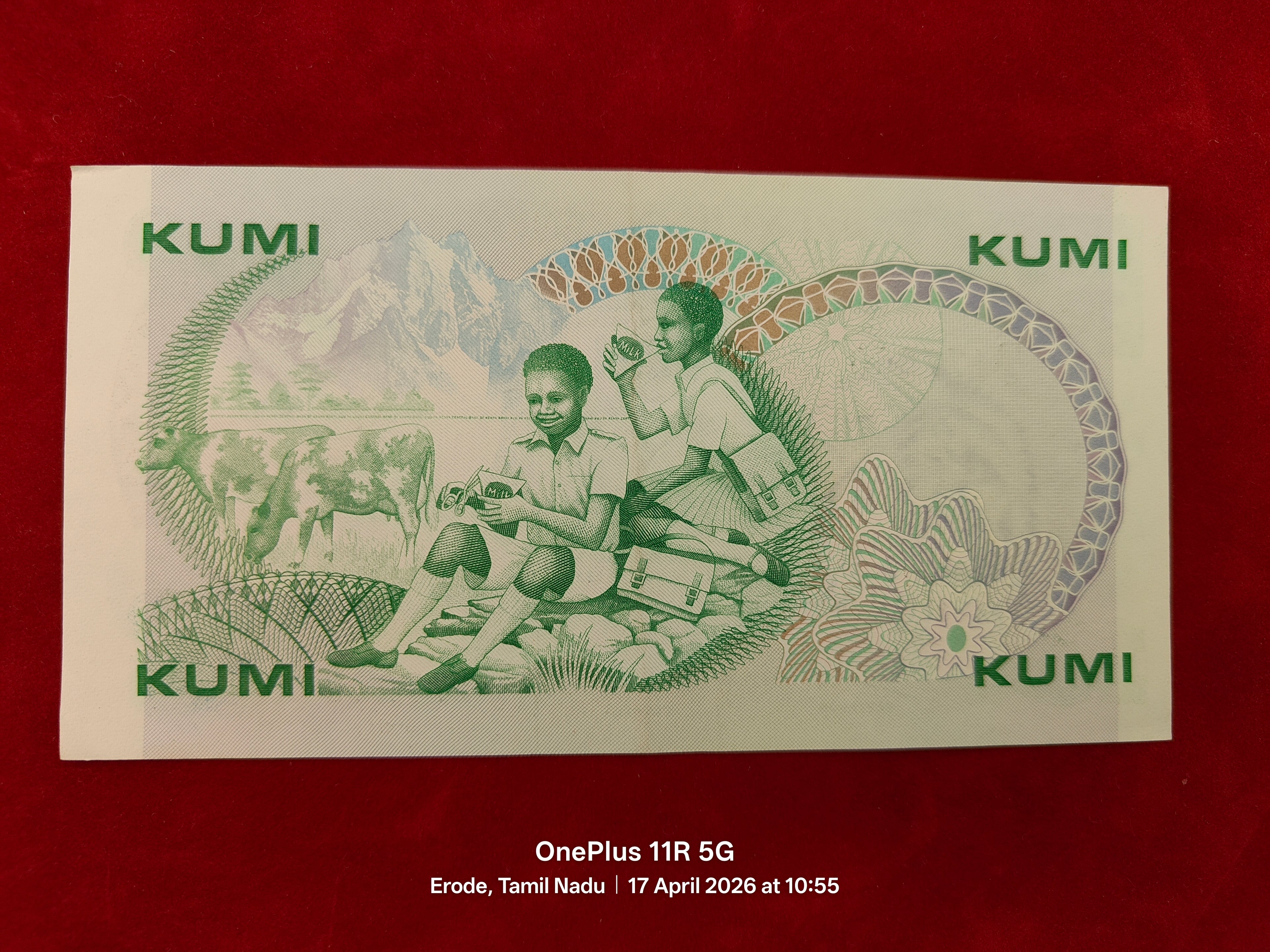 CENTRAL BANK OF KENYA 10 KUMI (C 956)