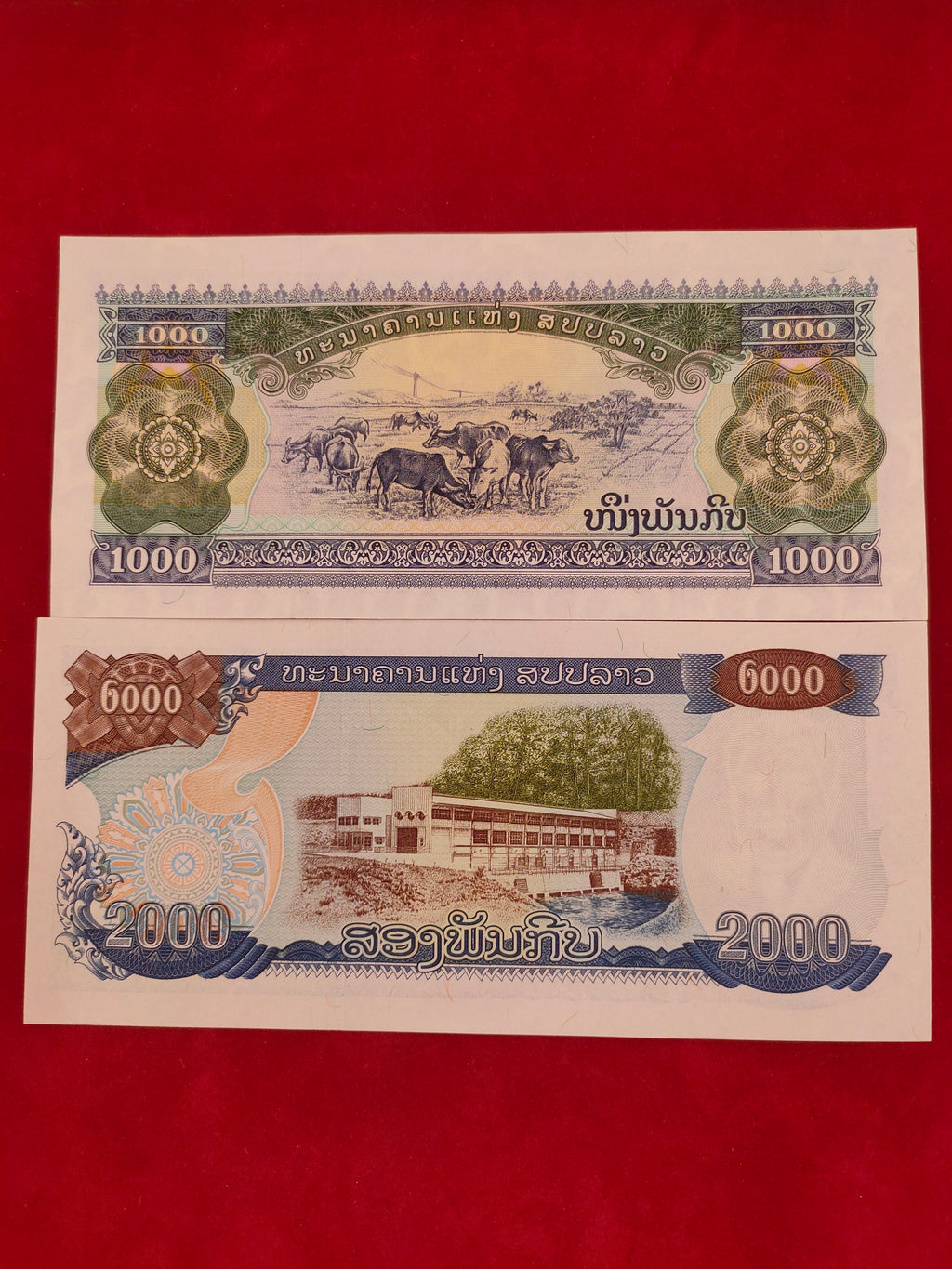 PEOPLES DEMOCRATIC REPUBLIC 1000,2000 (C628)