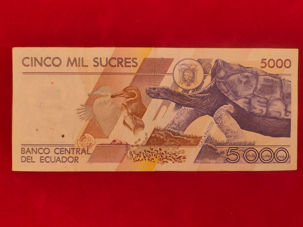 CENTRAL BANK OF ECUADOR 5000 SUCRES (D21)