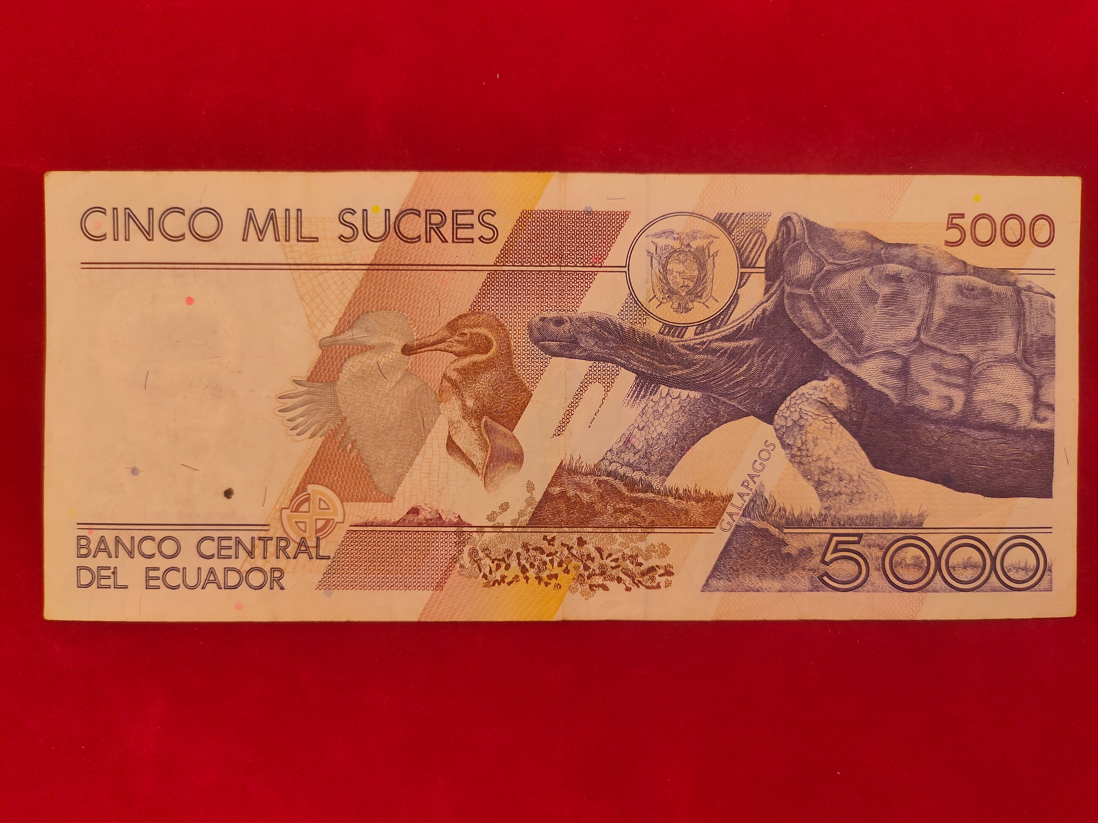CENTRAL BANK OF ECUADOR 5000 SUCRES (D21)