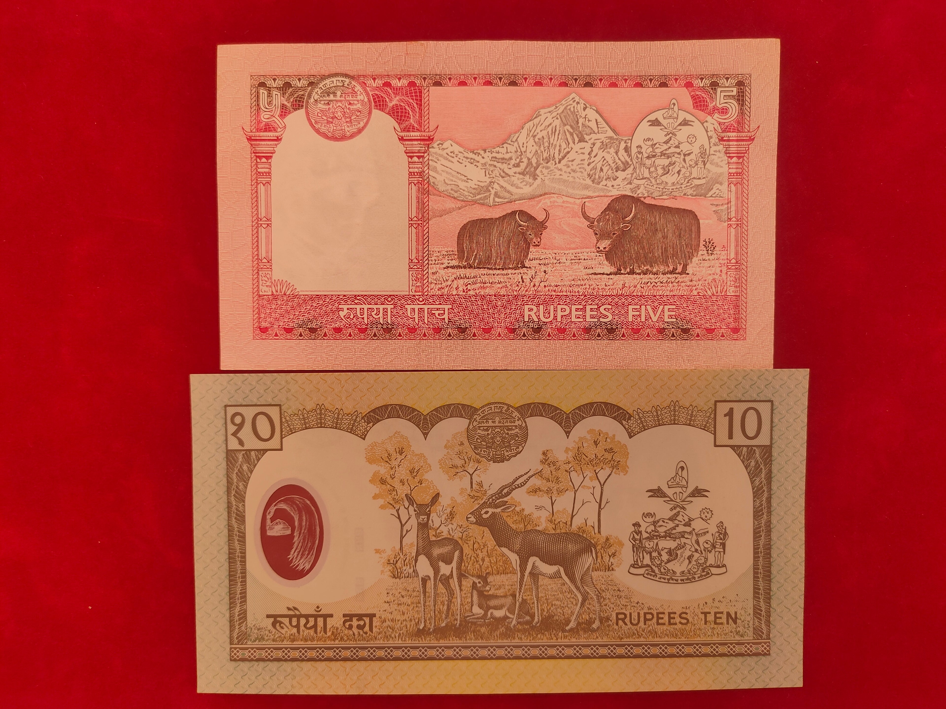 BANK OF NEPAL RASTRA 5,10 RUPEES (C746)