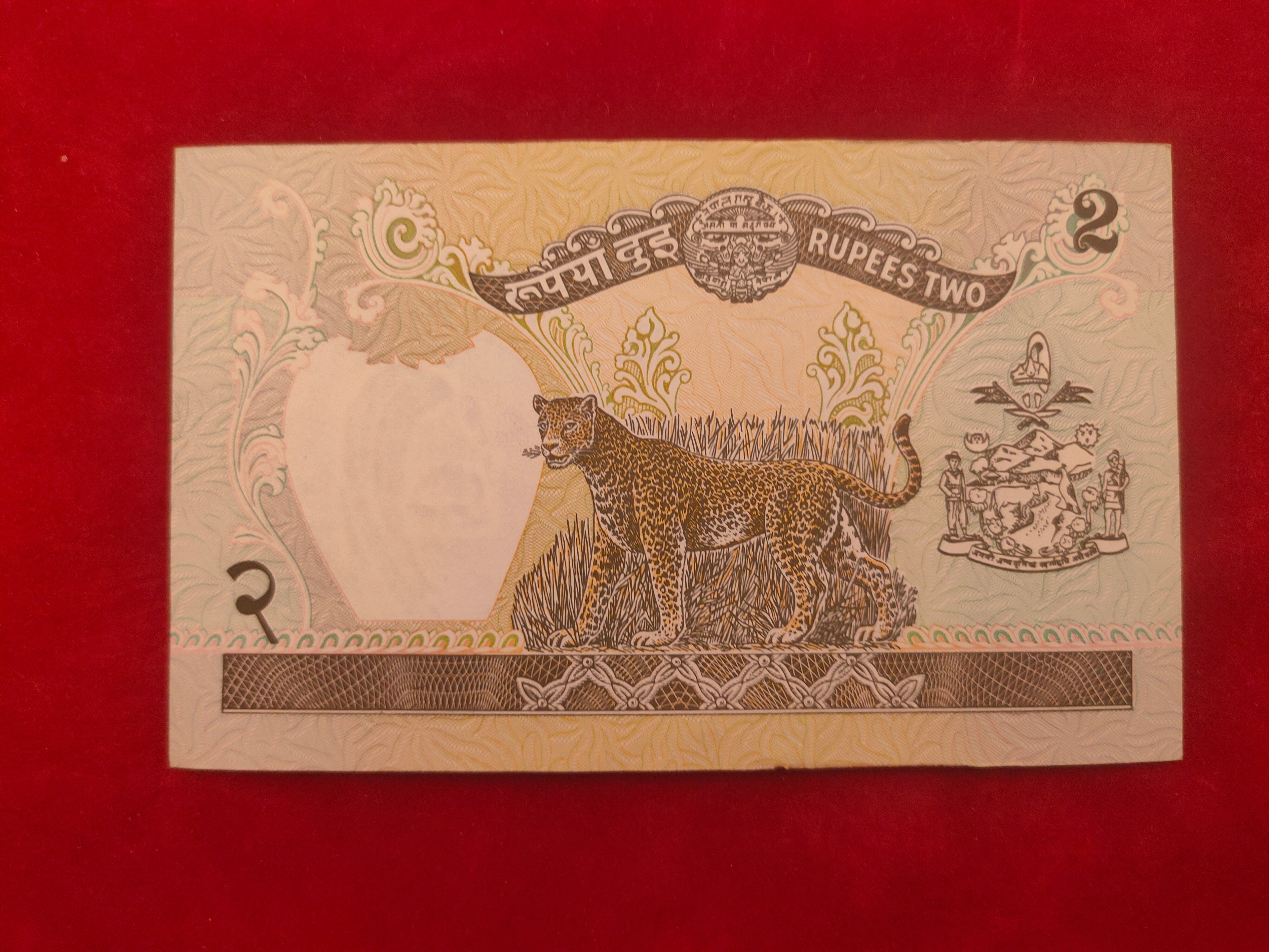 NEPAL RASTRA BANK 2 RUPEES (C748)