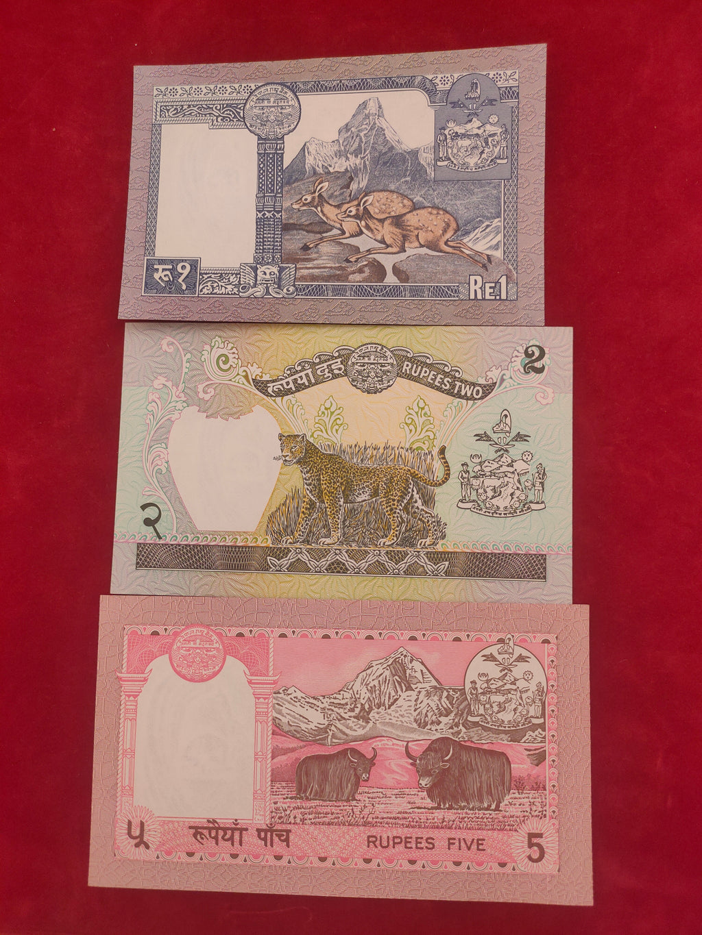 NEPAL RASTRA BANK 1,2,5 RUPEES (C443)