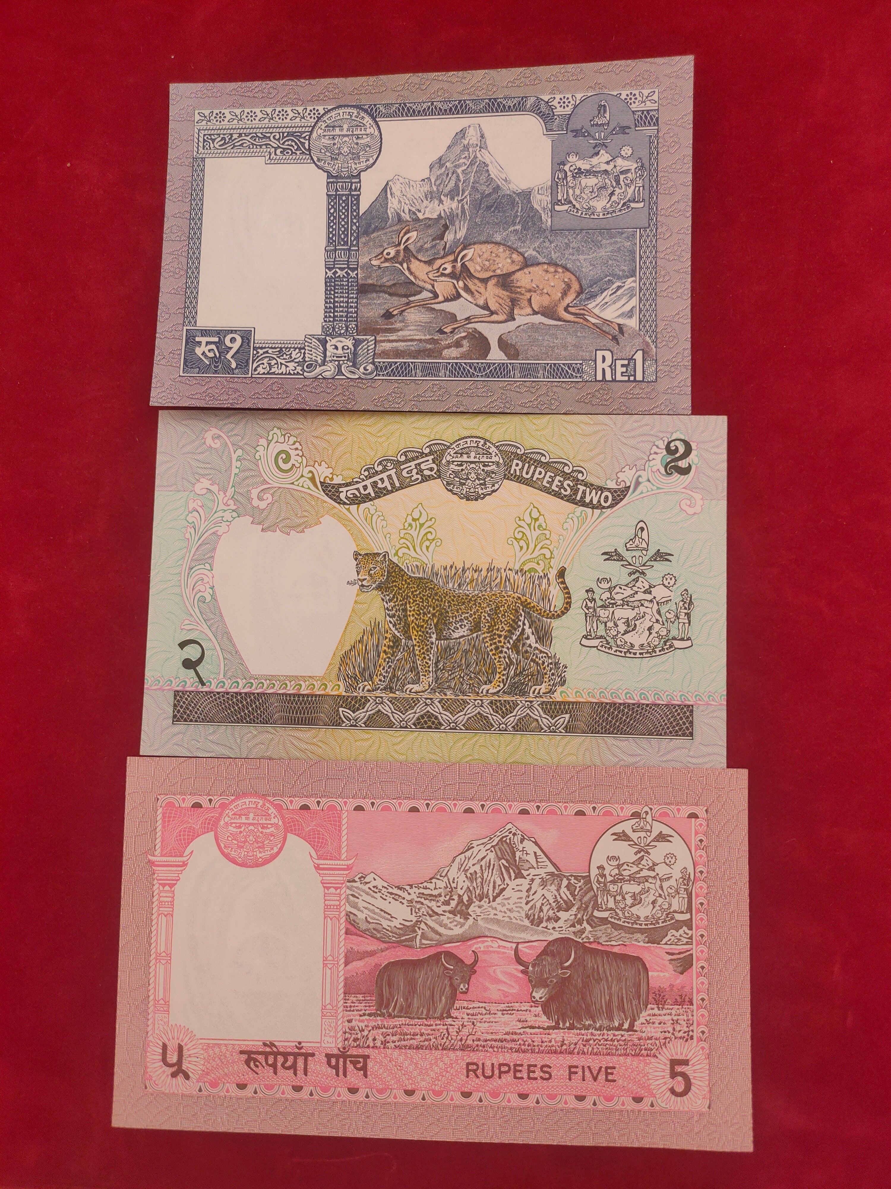 NEPAL RASTRA BANK 1,2,5 RUPEES (C443)
