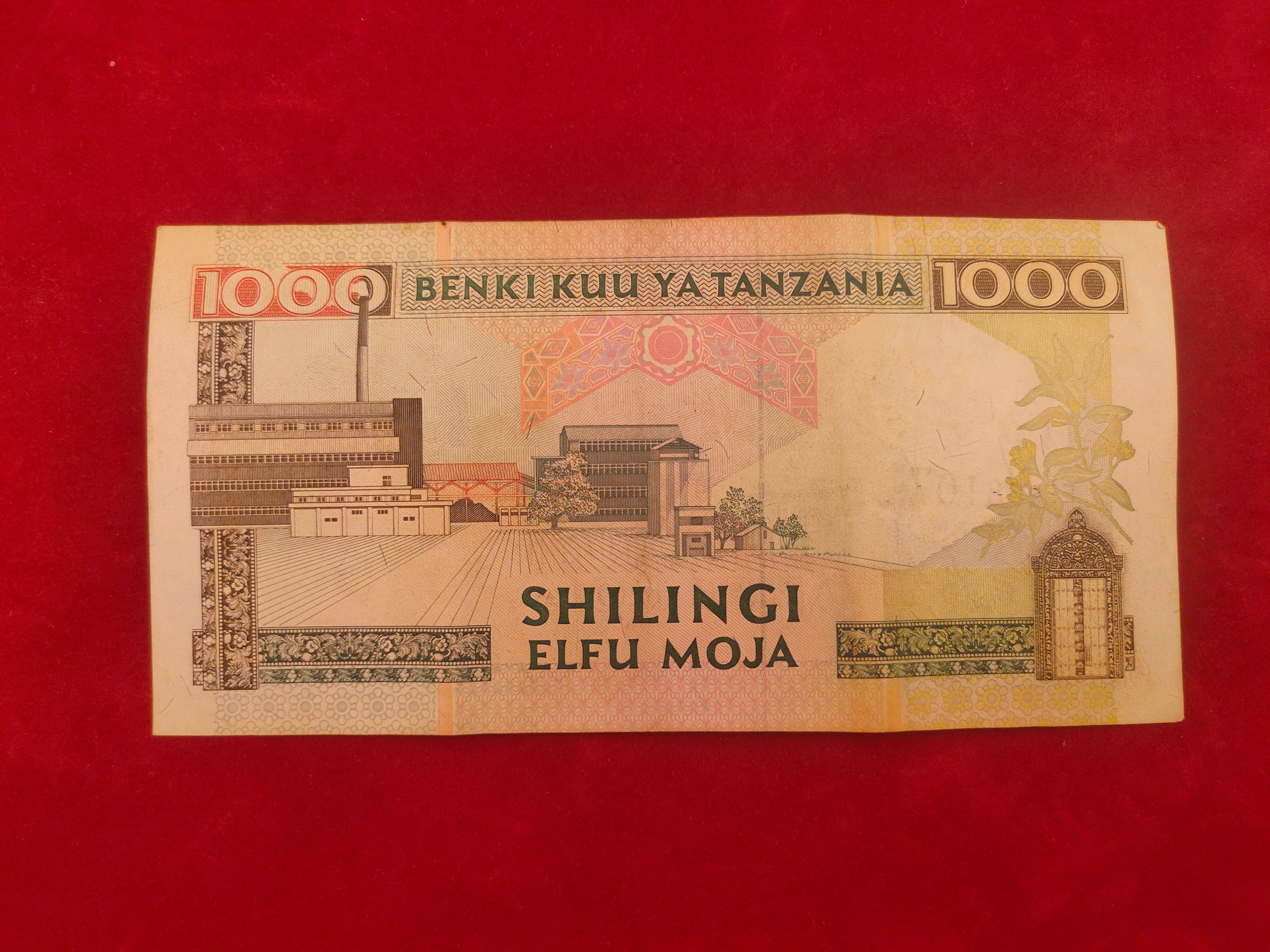 BANK OF TANZANIA 1000 SHILINGI (D886)