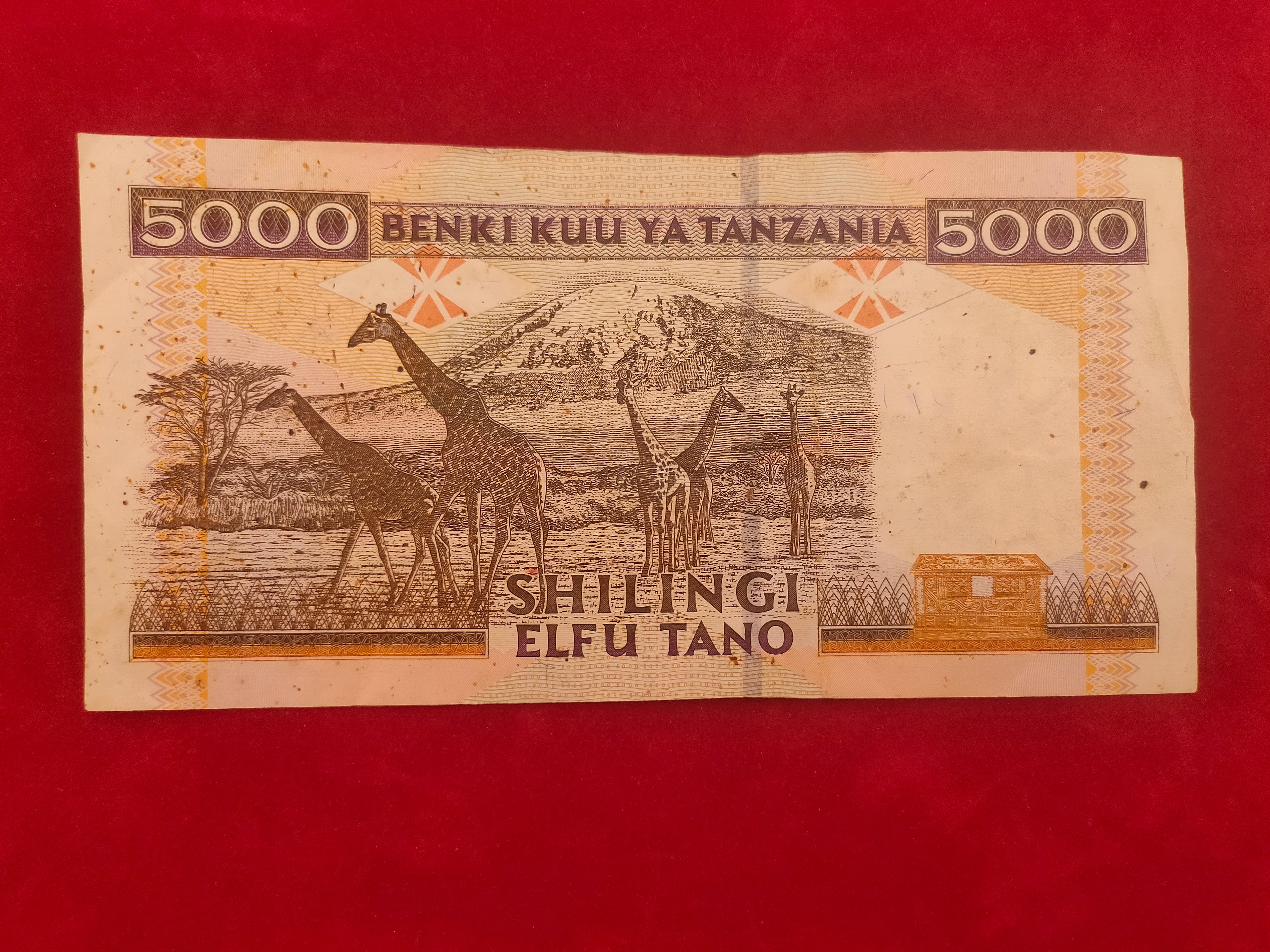 BANK OF TANZANIA 5000 SHILINGI (C946)