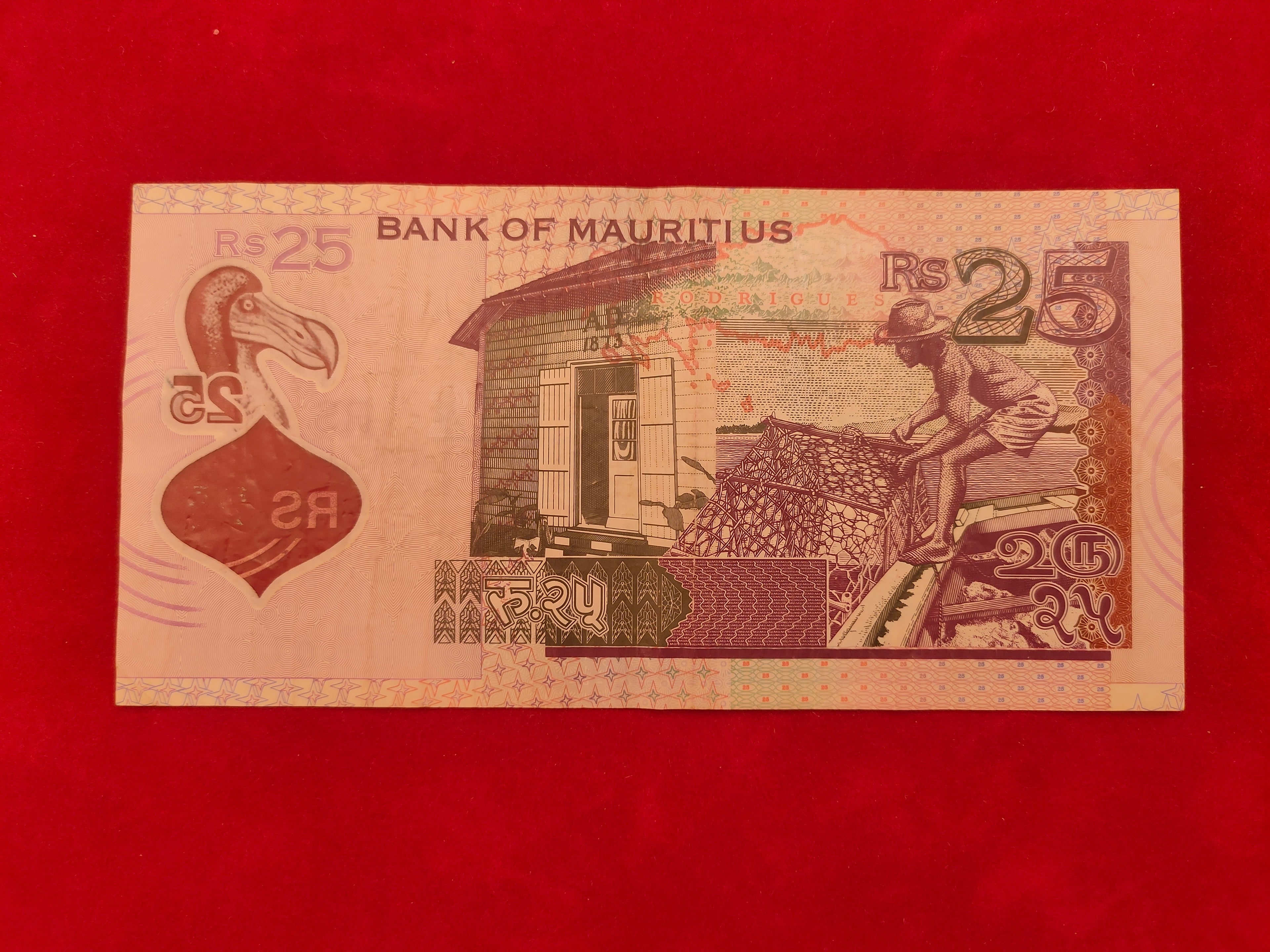BANK OF MAURITIUS  25 RUPEES (D213)