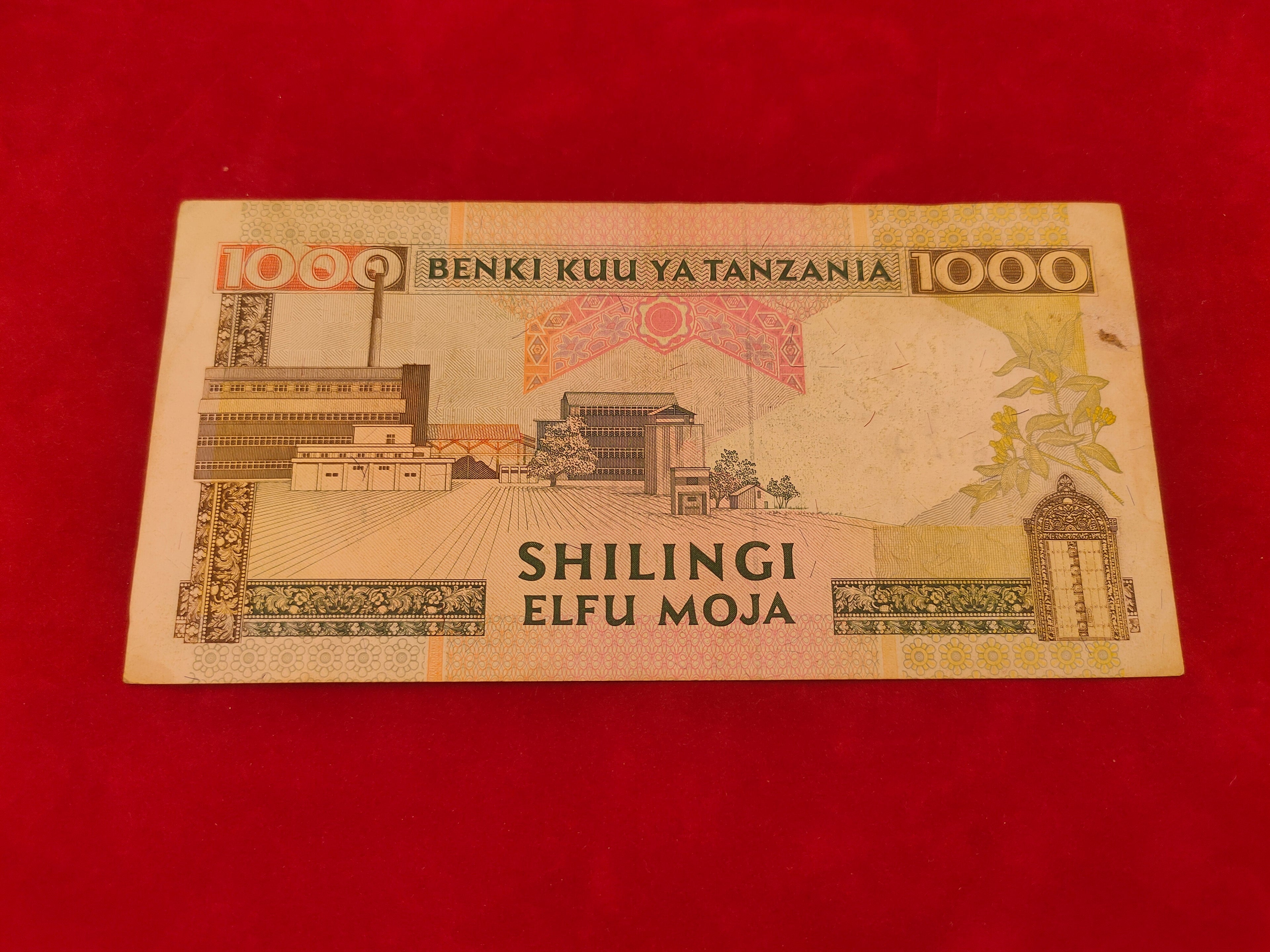 BANK OF  TANZANIA 1000 SHILINGI (D887)