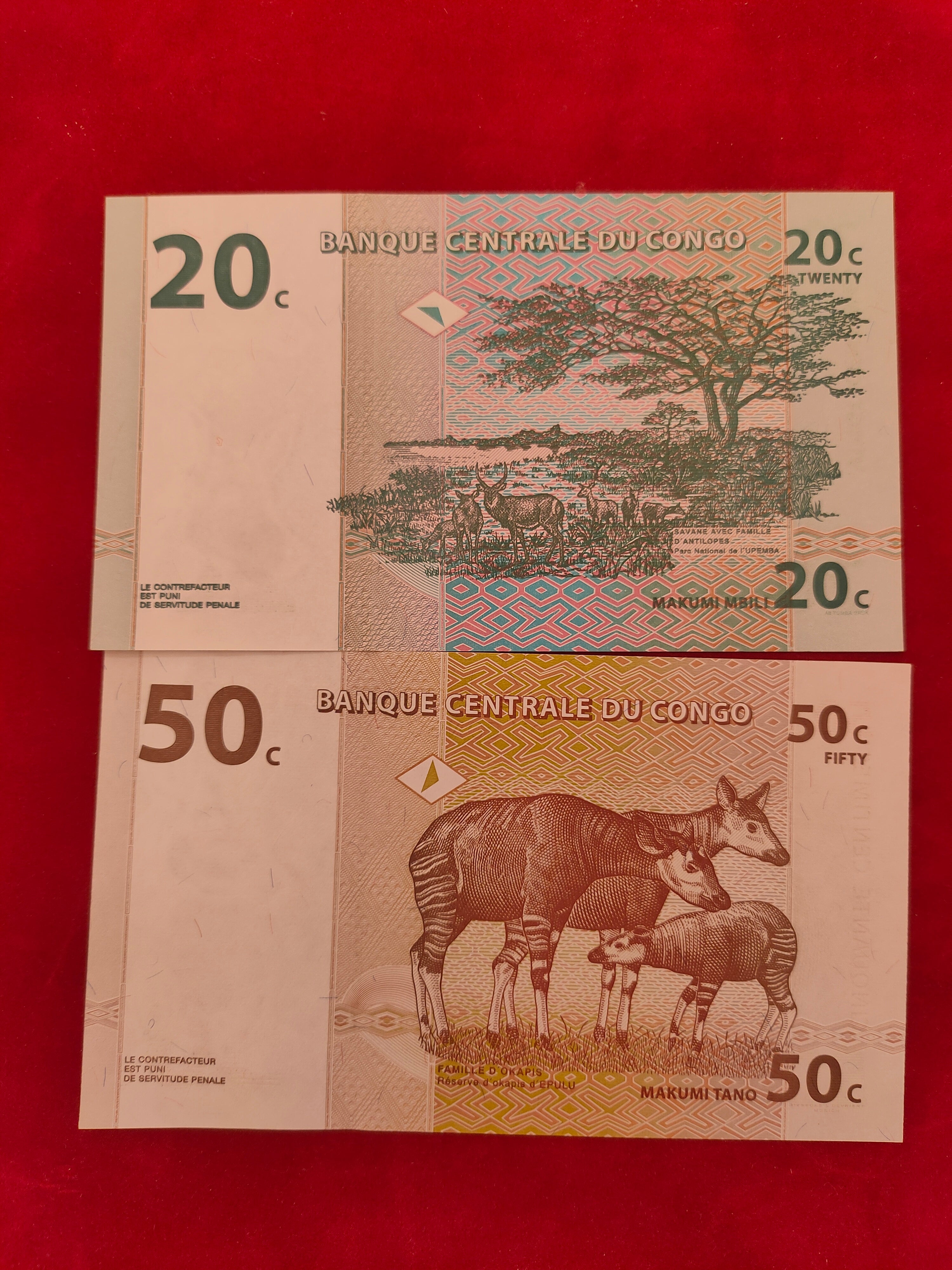 CENTRAL BANK OF THE CONGO 1,5,10,20,50 CENTIME (C442)