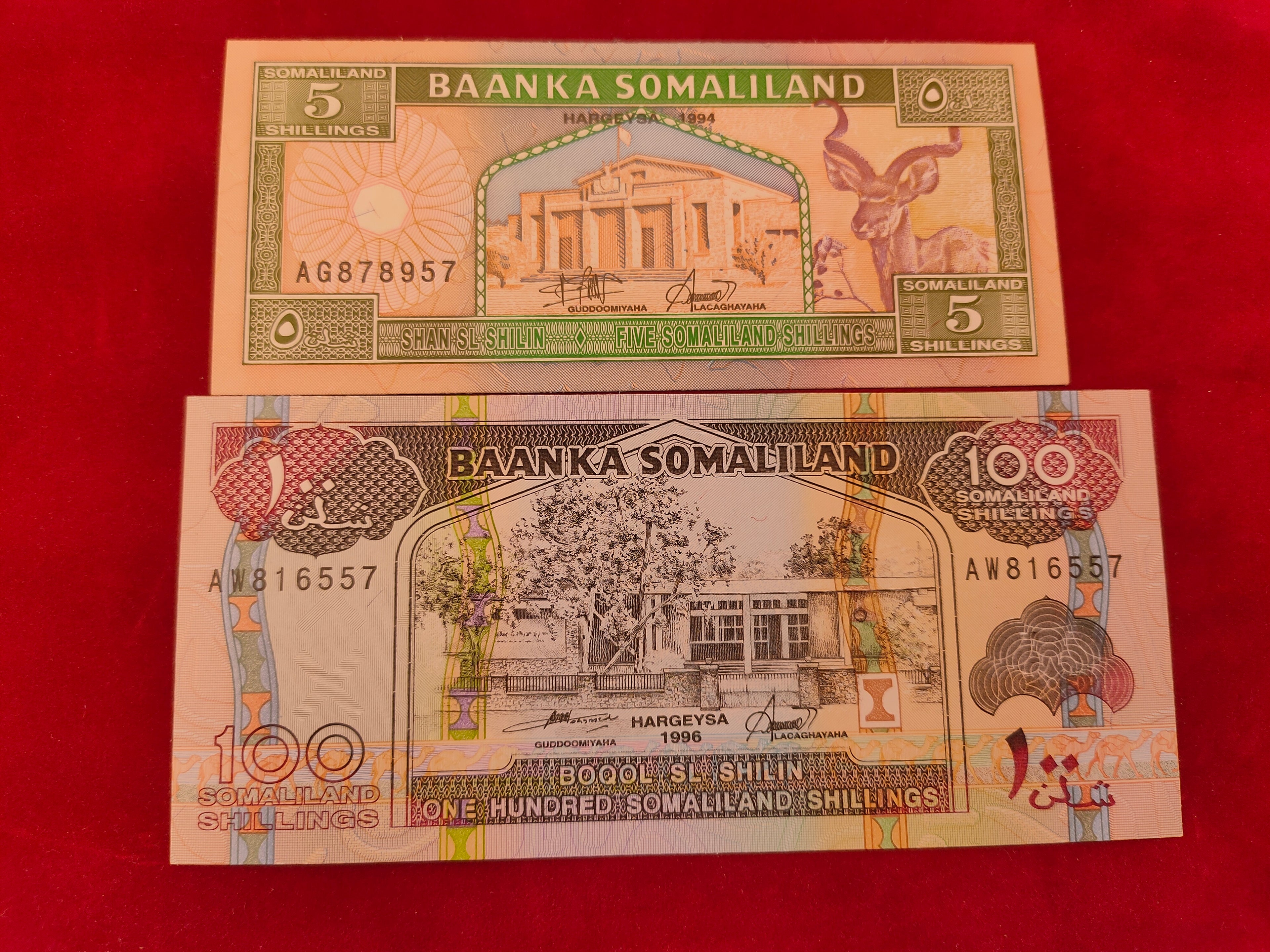 BANK OF SOMALILAND 5, 100 SHILLINGS (C438)