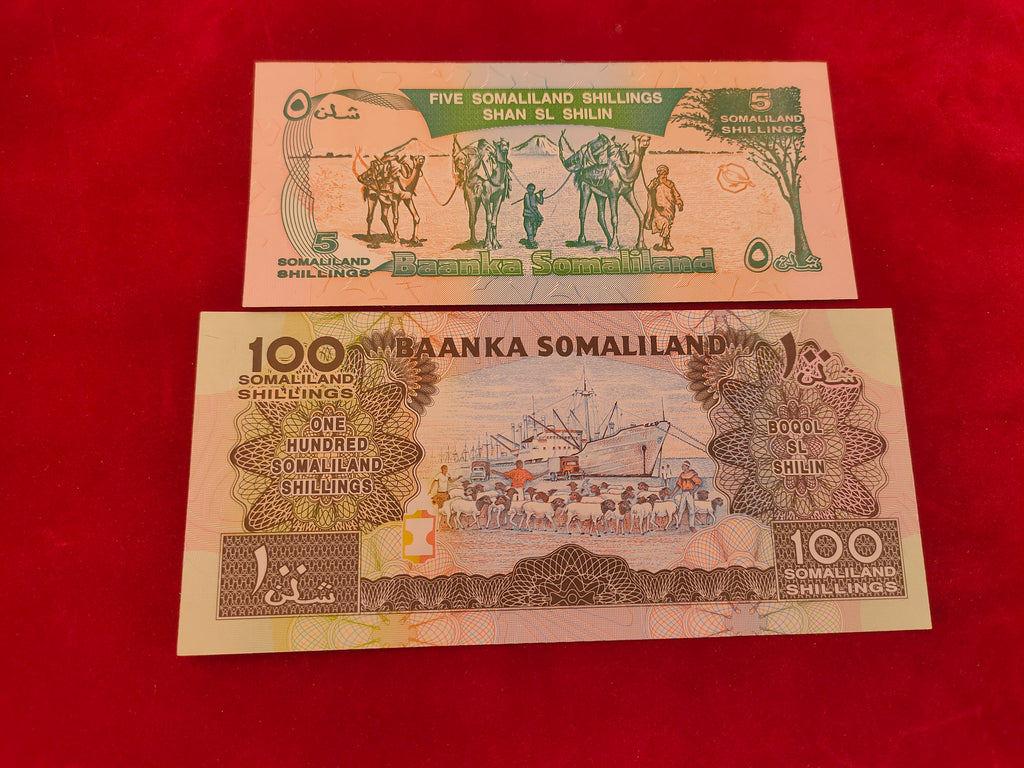 BANK OF SOMALILAND 5, 100 SHILLINGS (C438)