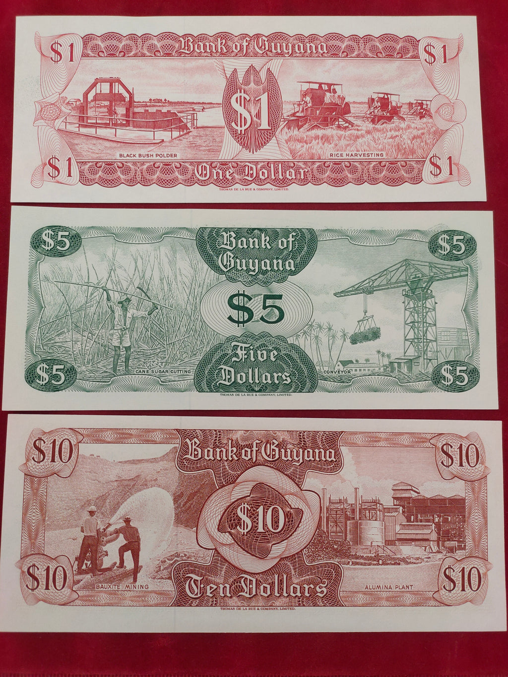 BANK OF GUYANA 1, 5, 10 DOLLARS (C440)