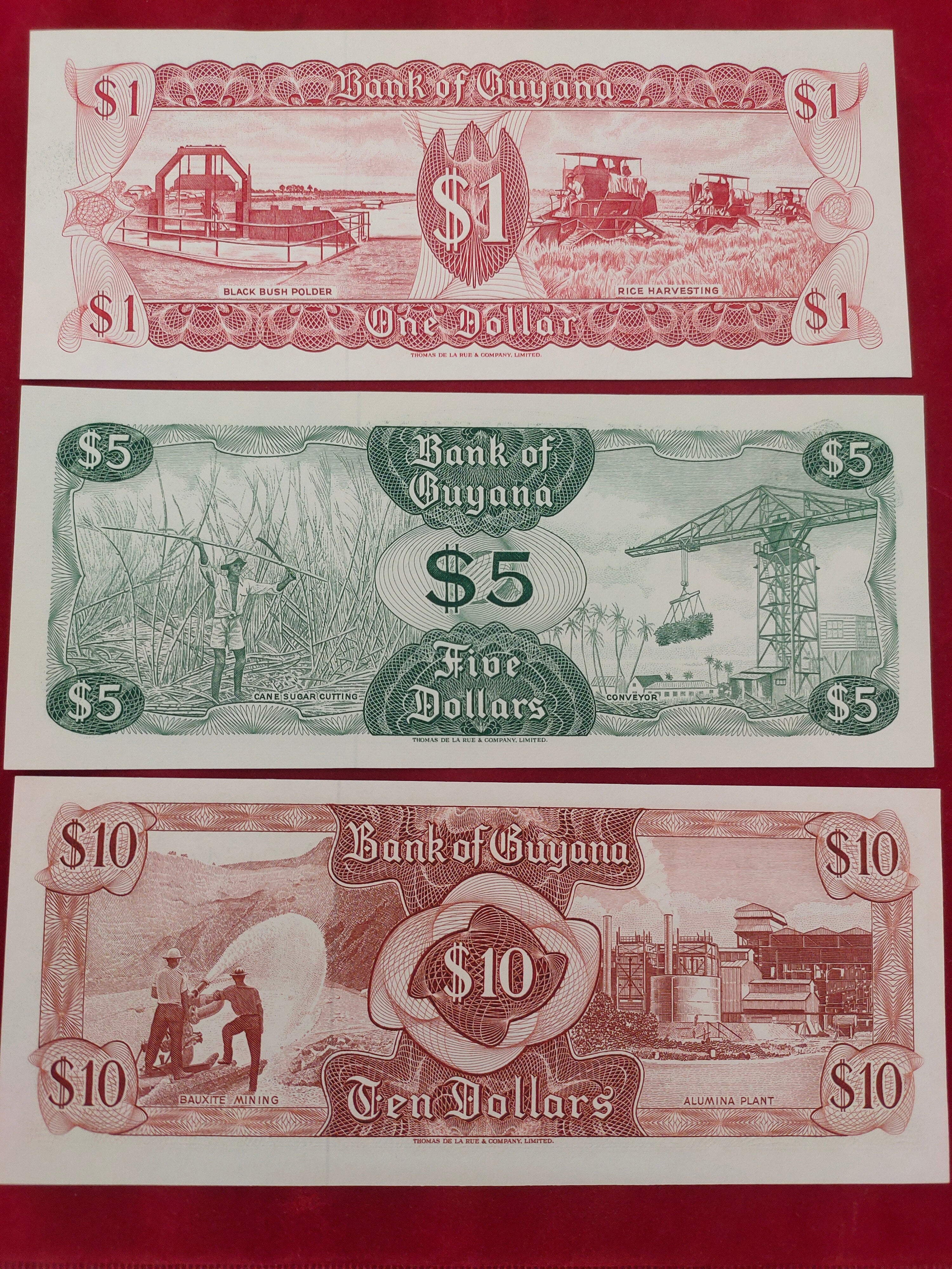 BANK OF GUYANA 1, 5, 10 DOLLARS (C440)