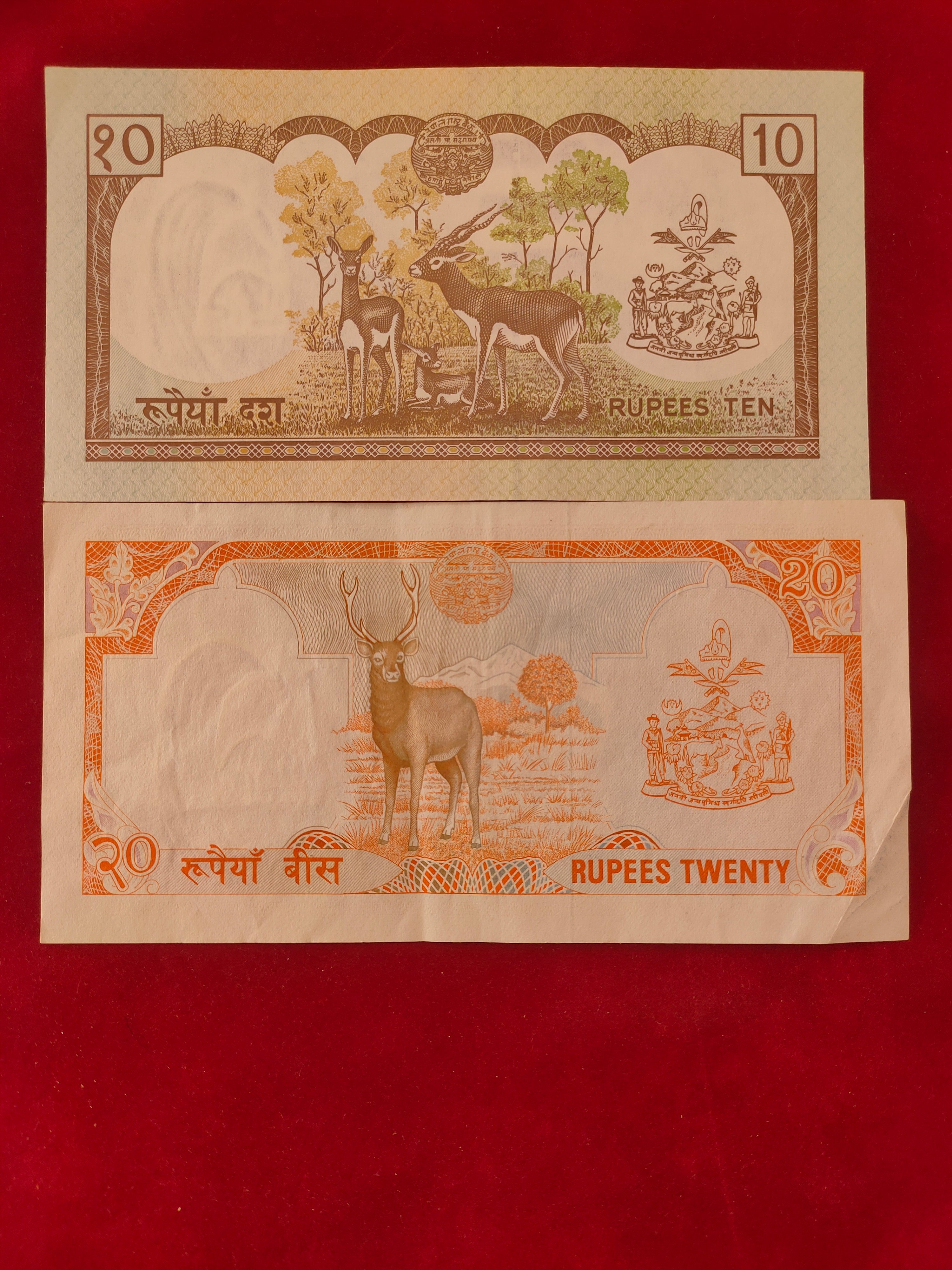 BANK OF NEPAL 1, 2, 5, 10, 20 RUPEES (D989)