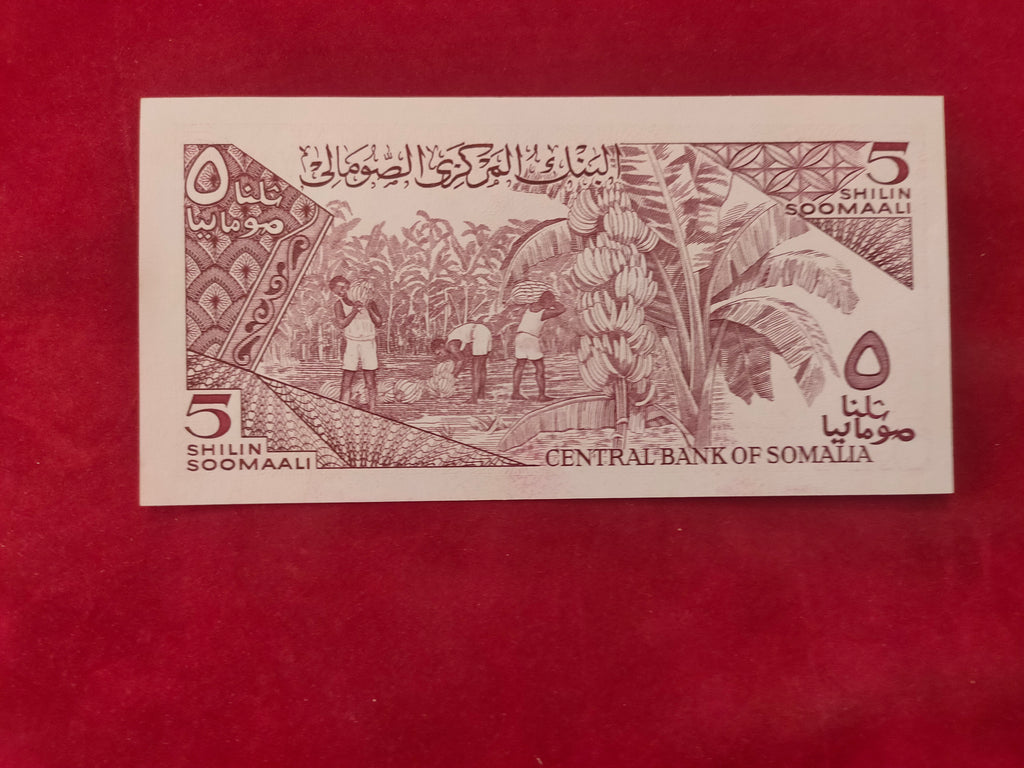 CENTRAL BANK OF SOMALIA 5SHILLINGS (321)