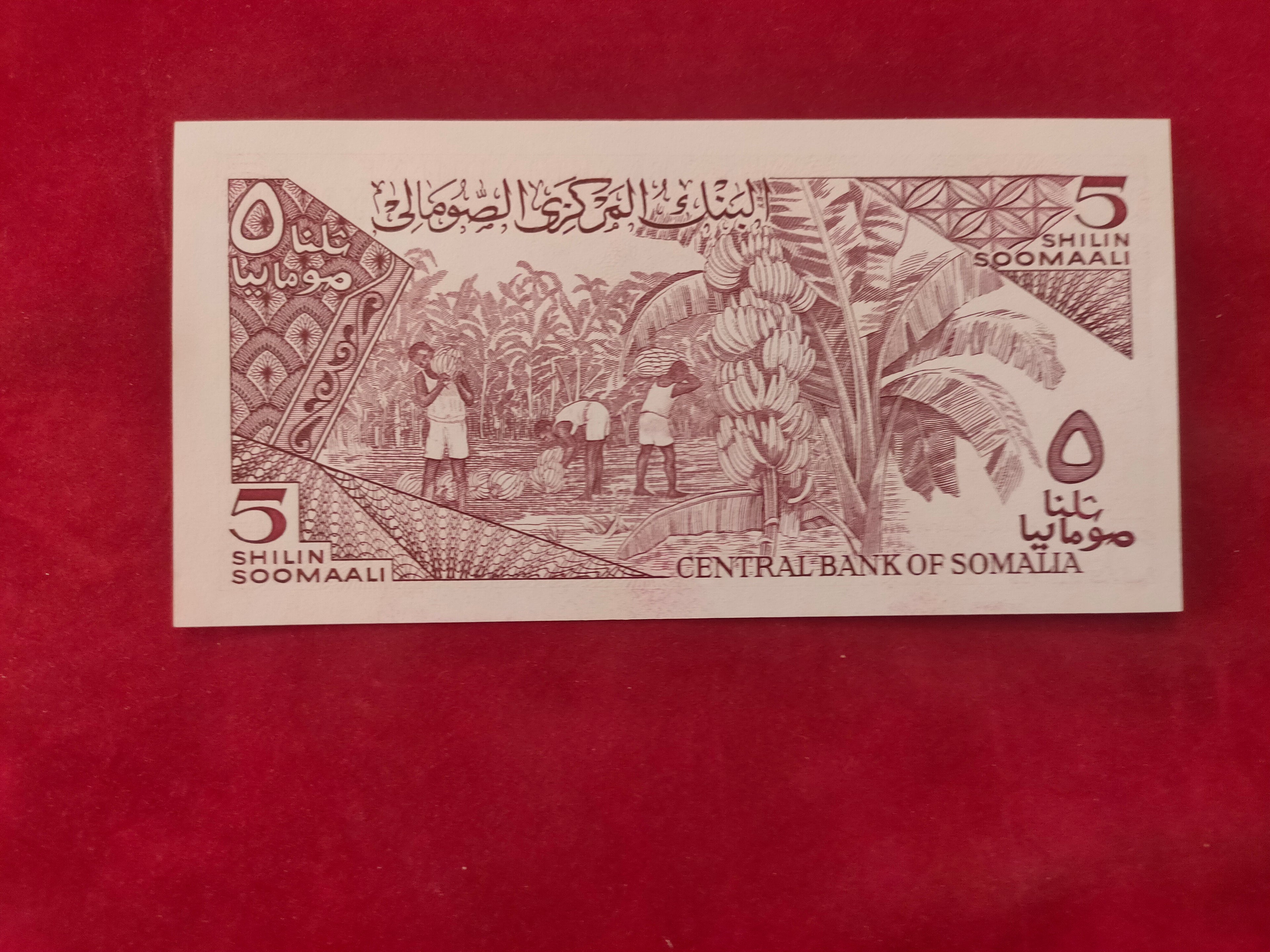 CENTRAL BANK OF SOMALIA 5SHILLINGS (321)
