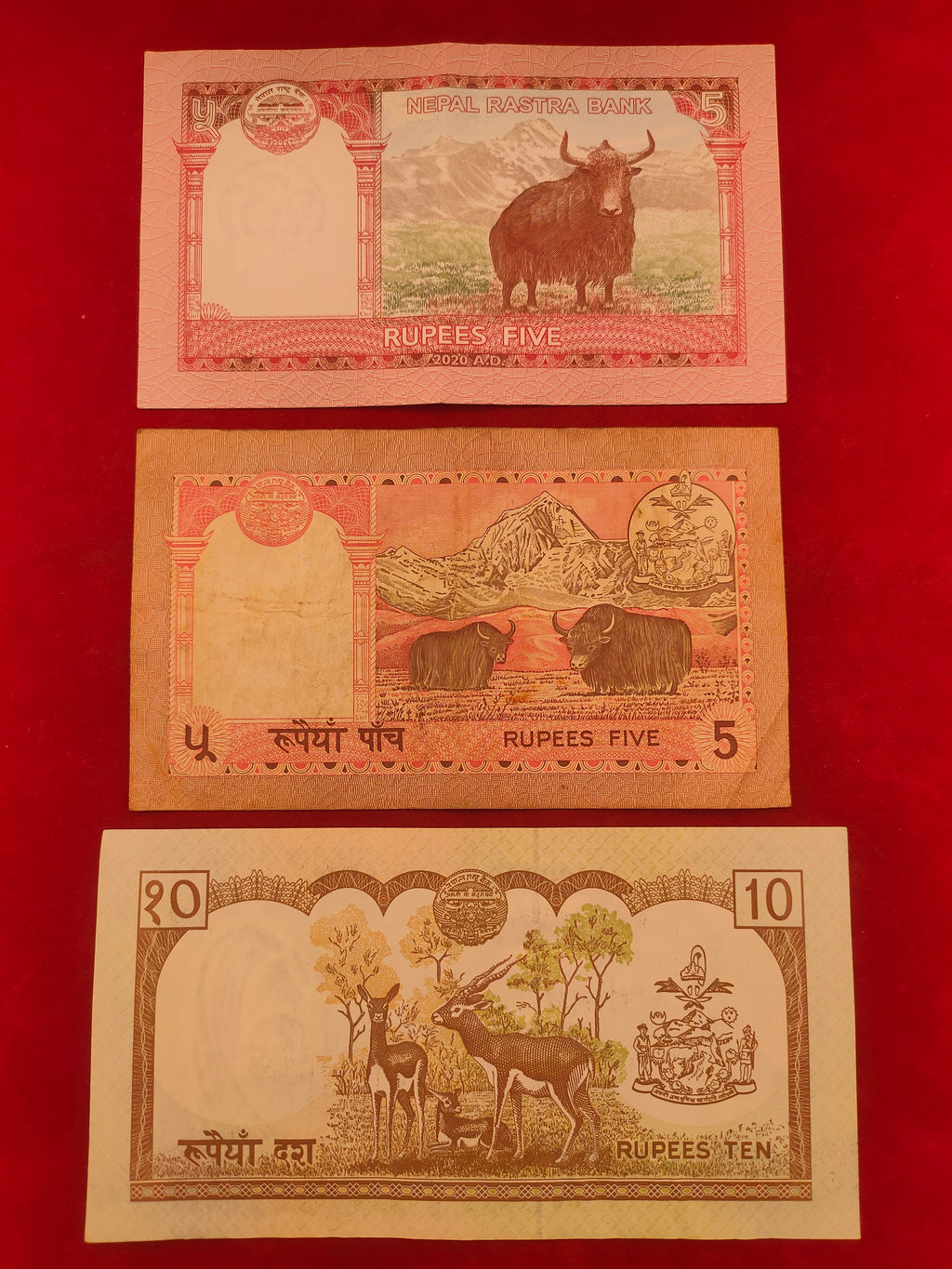 NATIONAL BANK OF NEPAL 5, 10, 20 RUPEES (D993)