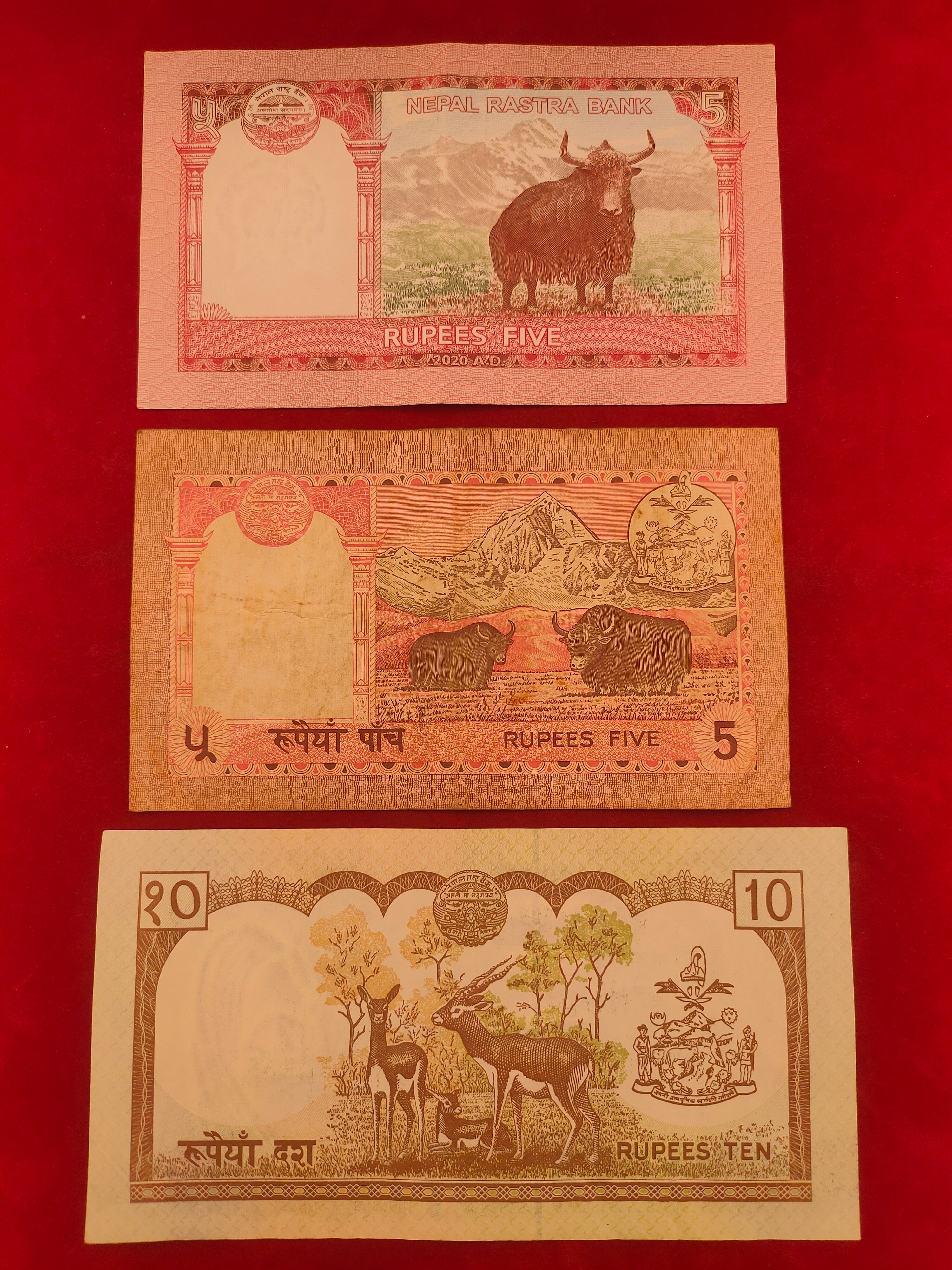 NATIONAL BANK OF NEPAL 5, 10, 20 RUPEES (D993)