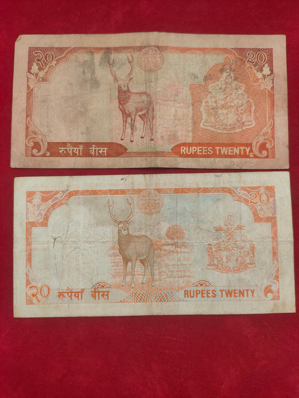 NATIONAL BANK OF NEPAL 5, 10, 20 RUPEES (D993)