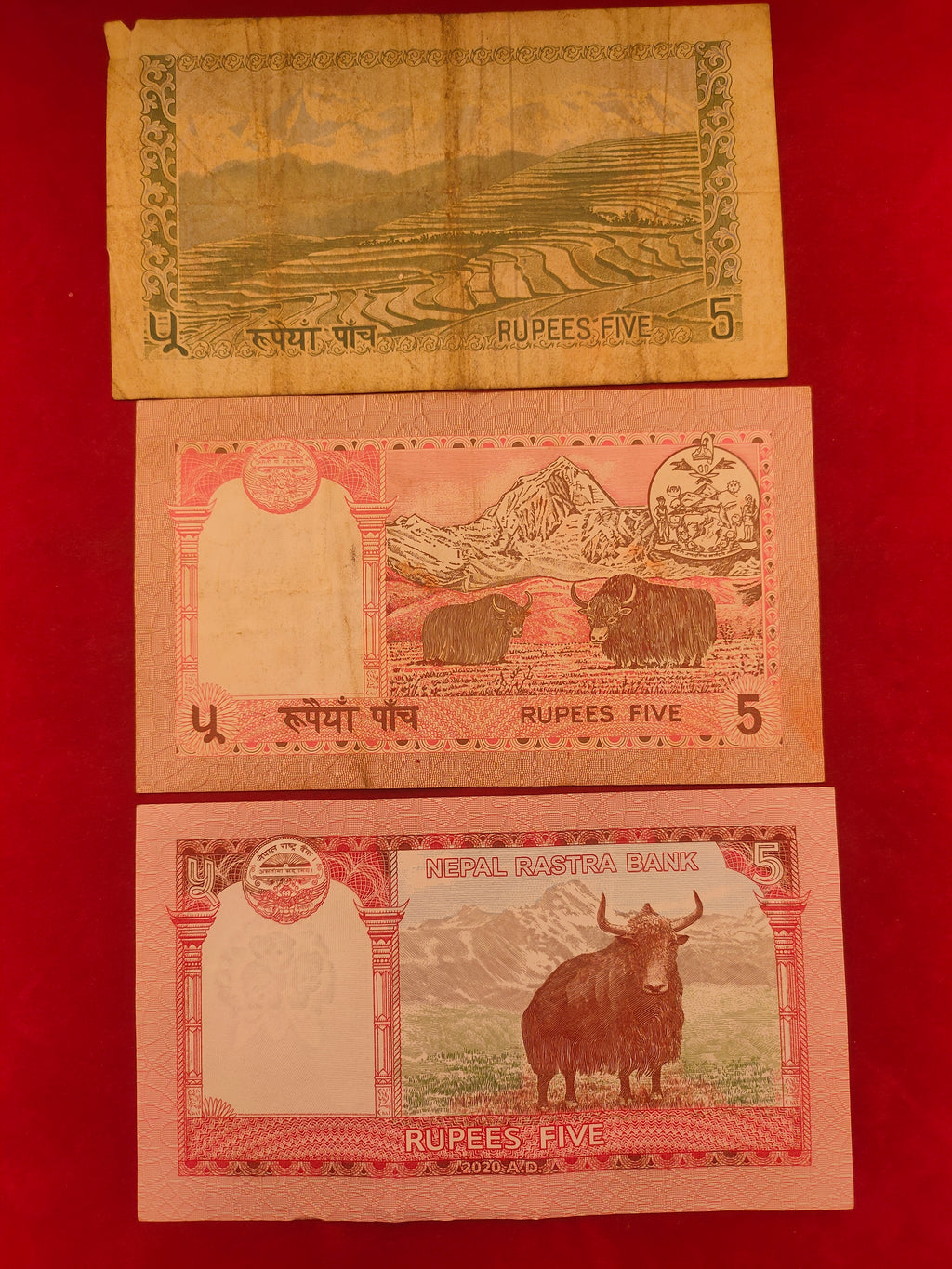 BANK OF NEPAL 5, 20 RUPEES (D992)