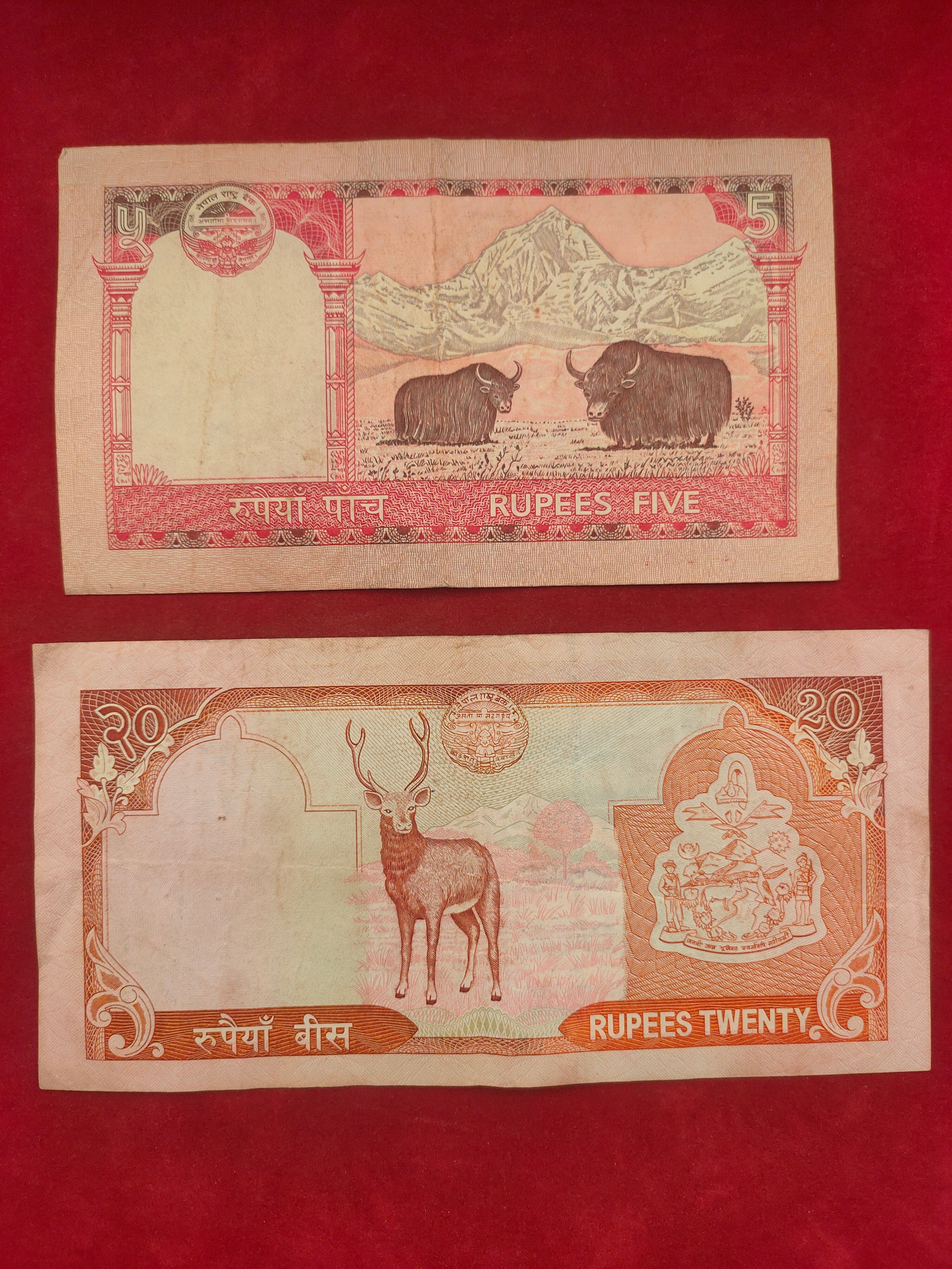 BANK OF NEPAL 5, 20 RUPEES (D992)