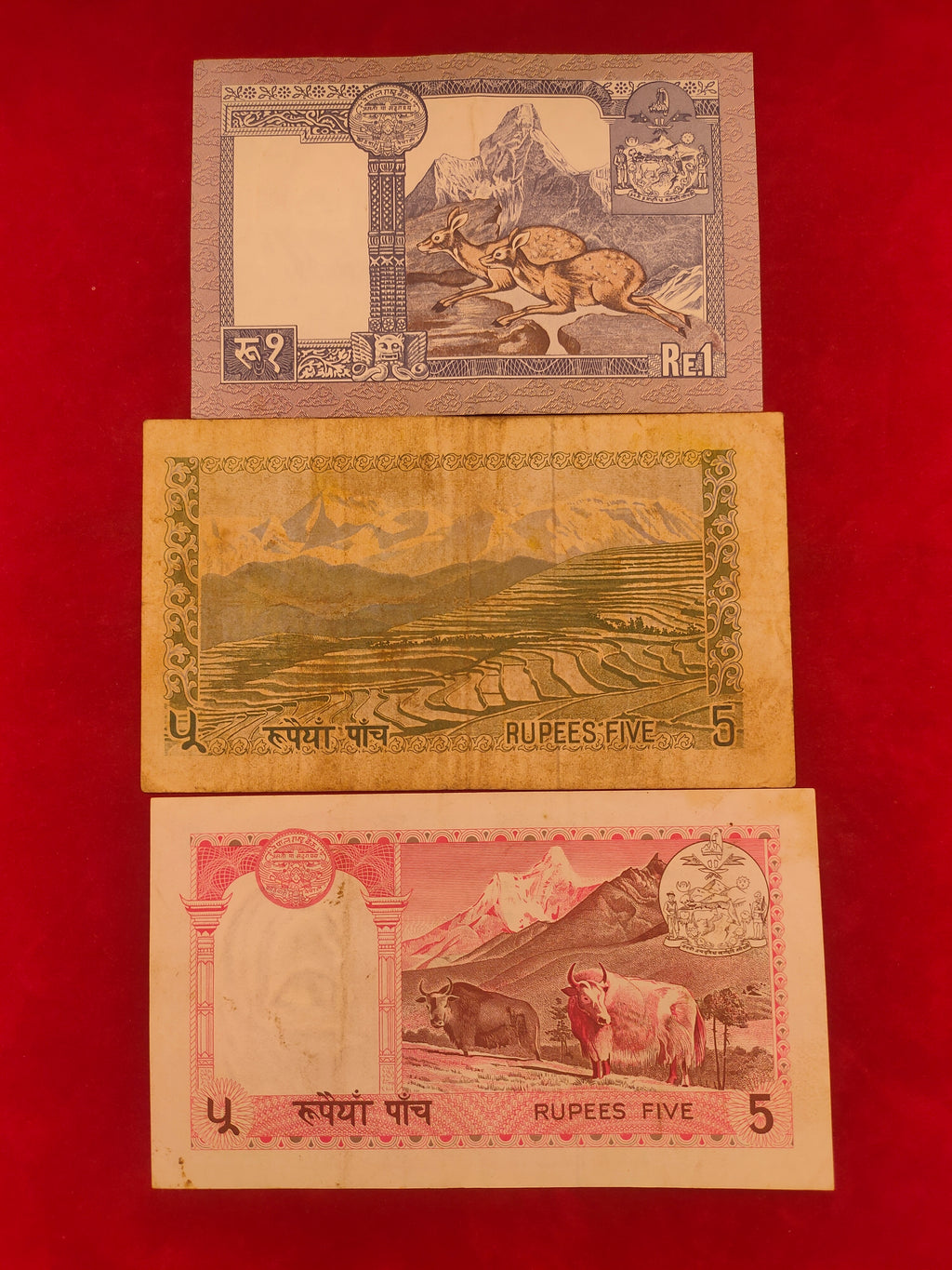 BANK OF NEPAL 1, 5, RUPEES (D996)