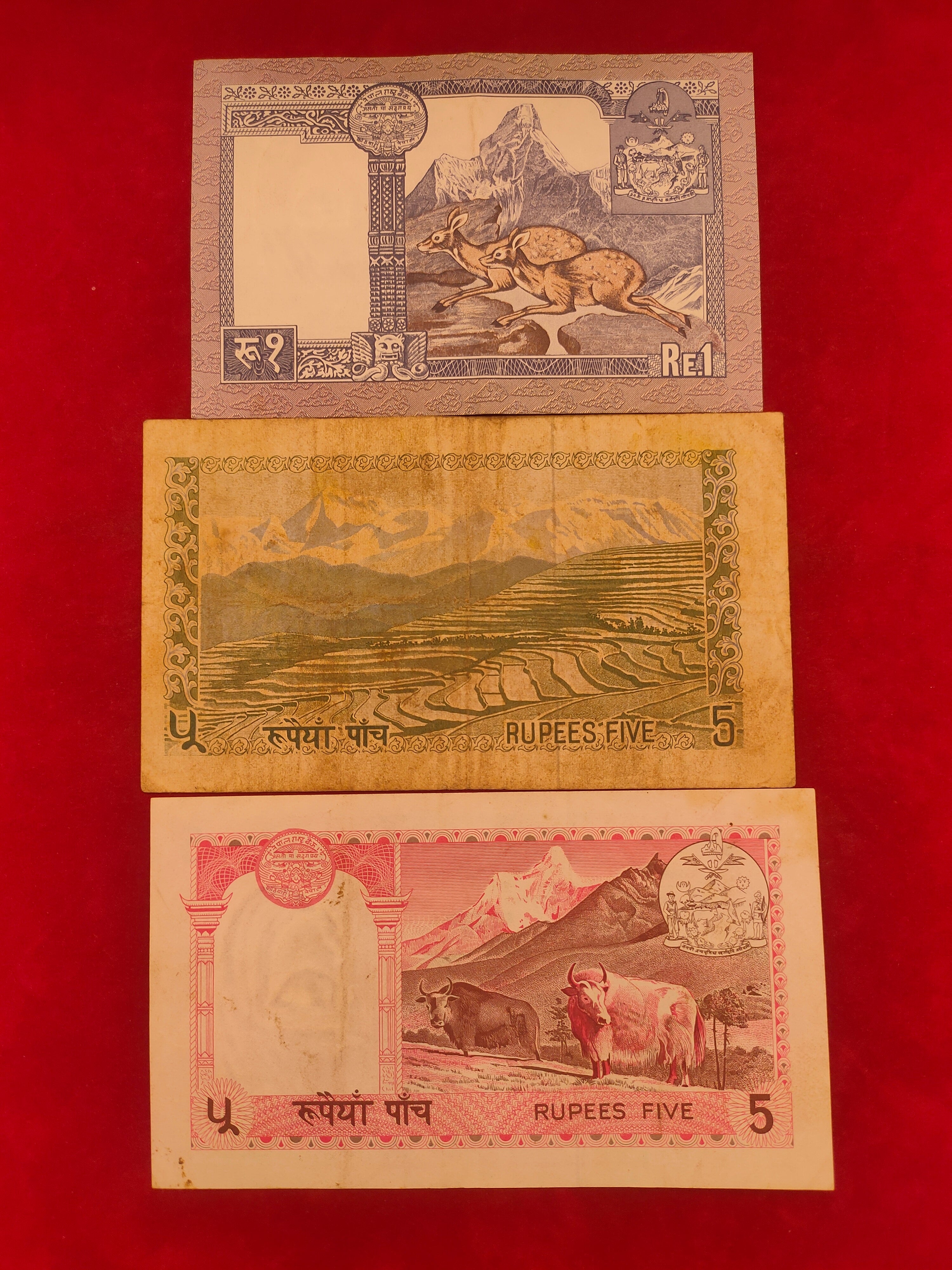 BANK OF NEPAL 1, 5, RUPEES (D996)