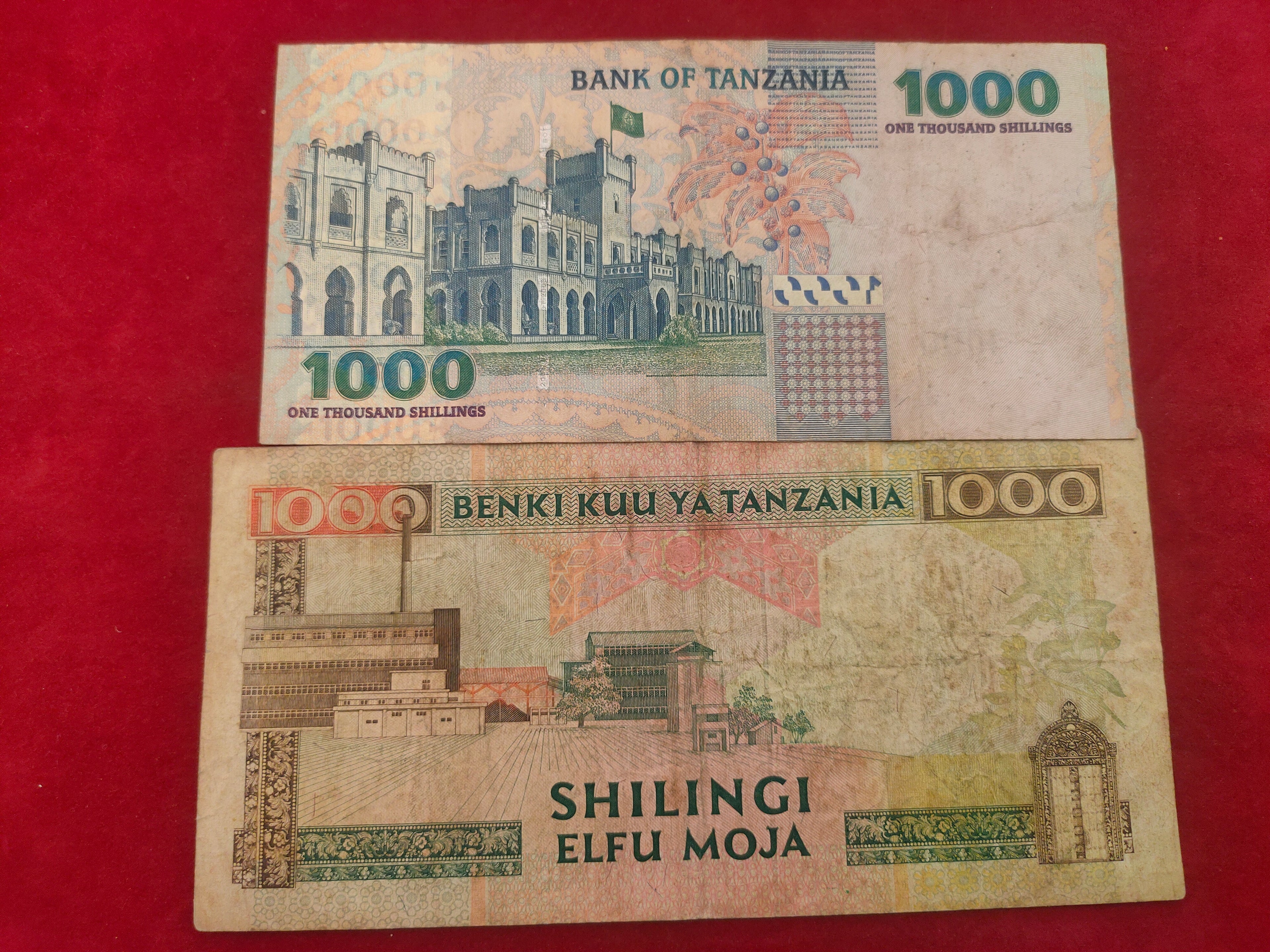 BANK OF TANZANIA 1000 SHILLINGS (506)