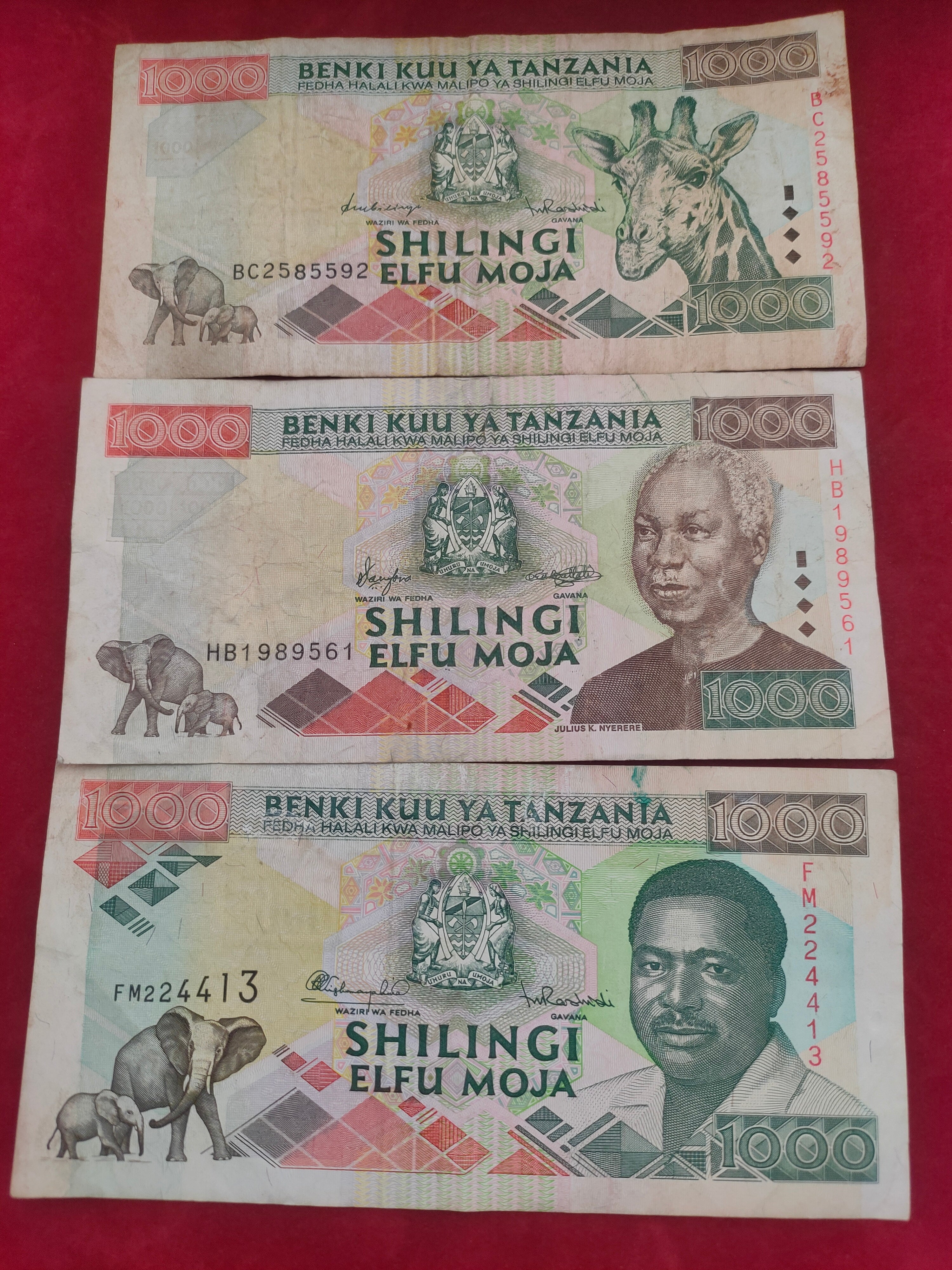BANK OF TANZANIA 1000 SHILINGI (D981)