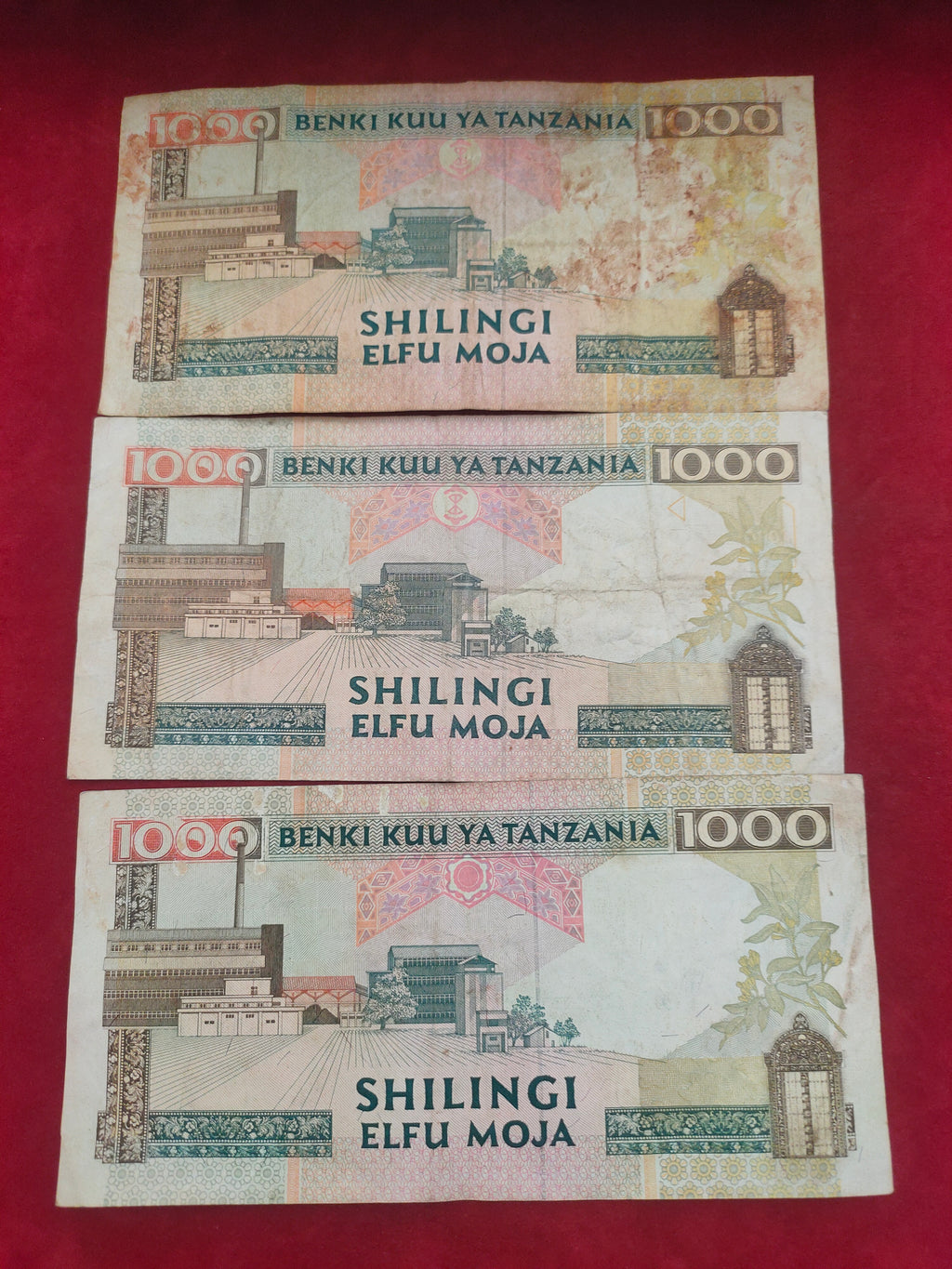 BANK OF TANZANIA 1000 SHILINGI (D981)