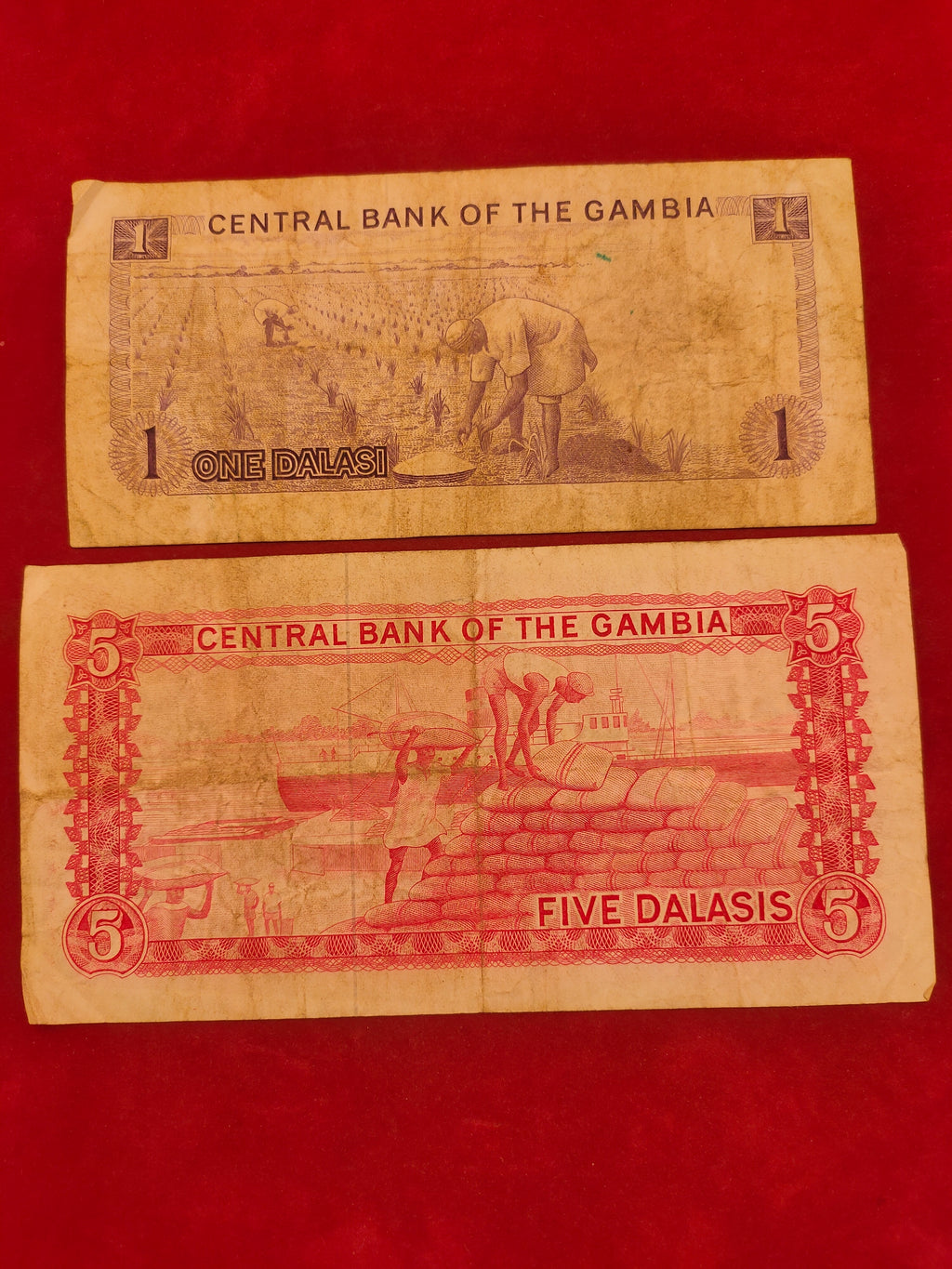 CENTRAL BANK OF GAMBIA 1,  5 DALASIS (1143)