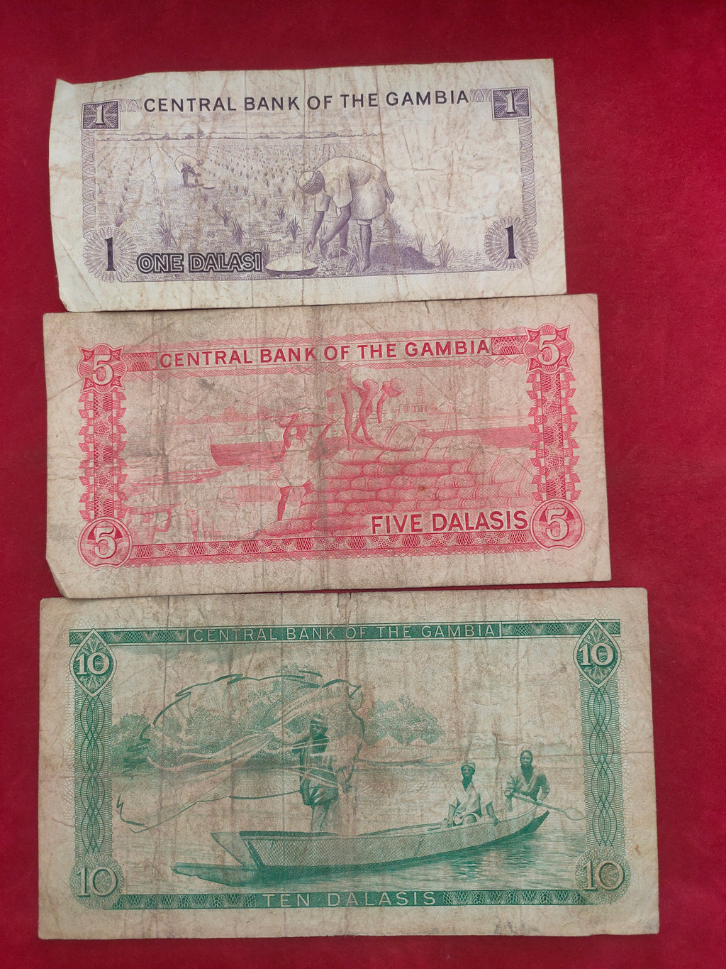 CENTRAL BANK OF GAMBIA 1, 5, 10 DALASIS (1142)