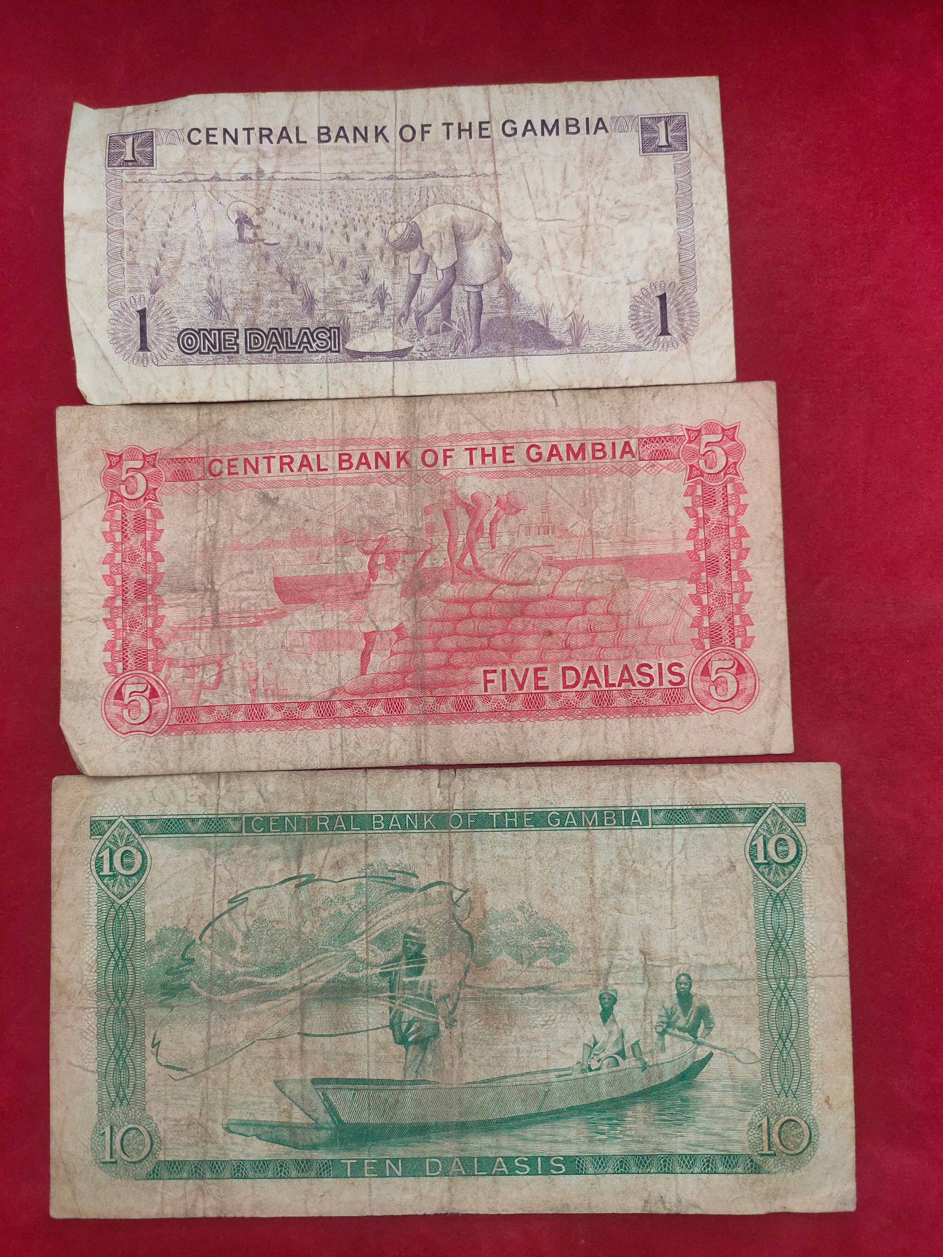 CENTRAL BANK OF GAMBIA 1, 5, 10 DALASIS (1142)