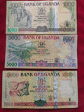 BANK OF UGANDA 1000, 5000, 10000 (D433)