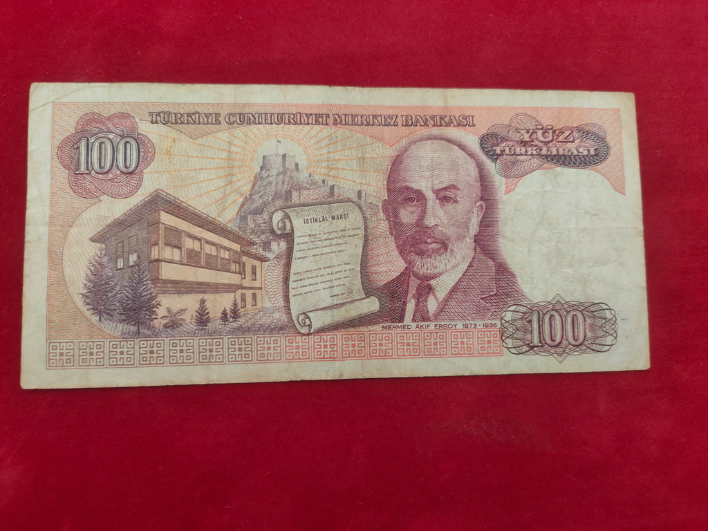 BANK OF TURKEY 100 LIRASI (590)