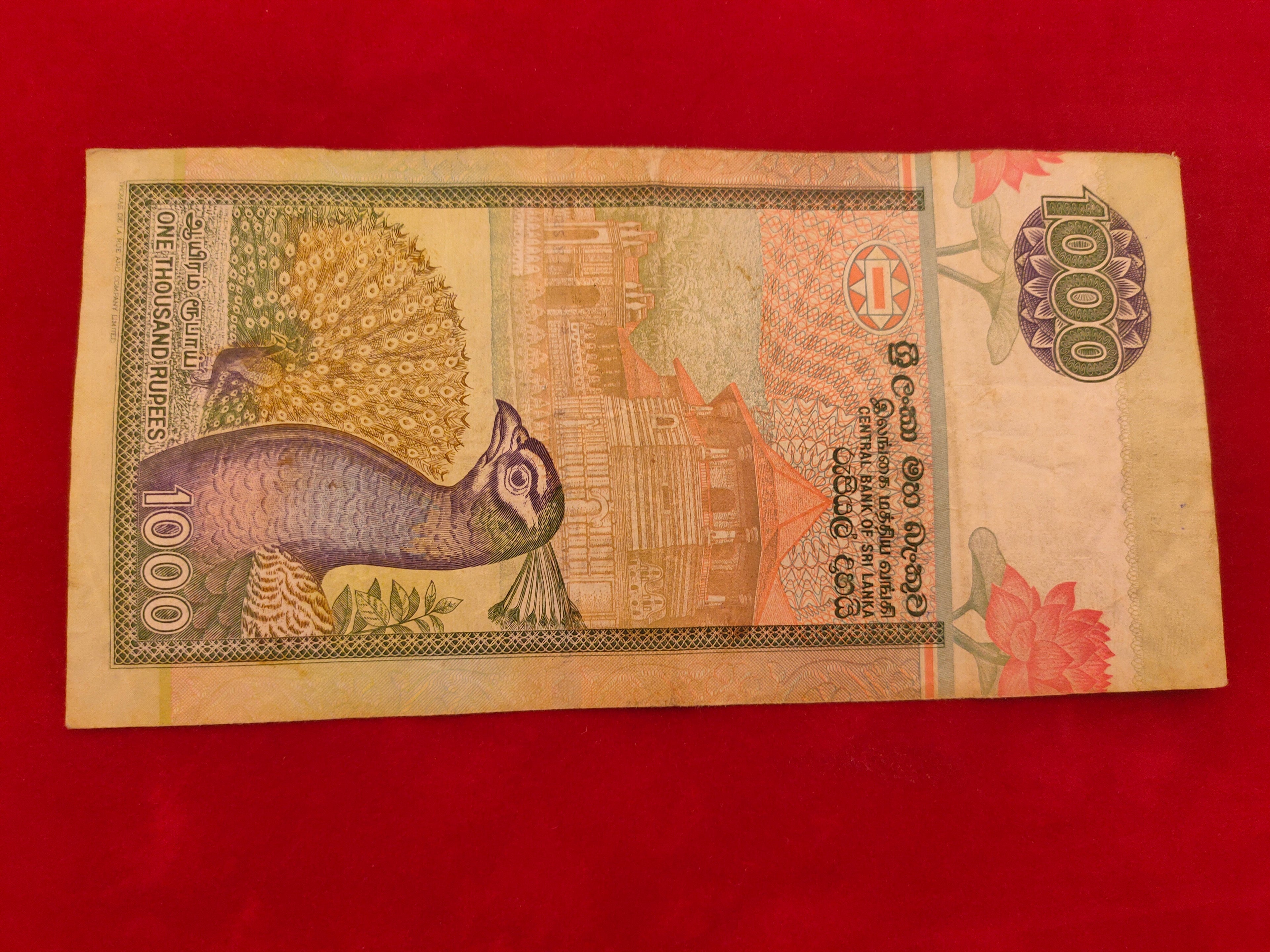 CENTRAL BANK OF SRI LANKA 1000 (C981)