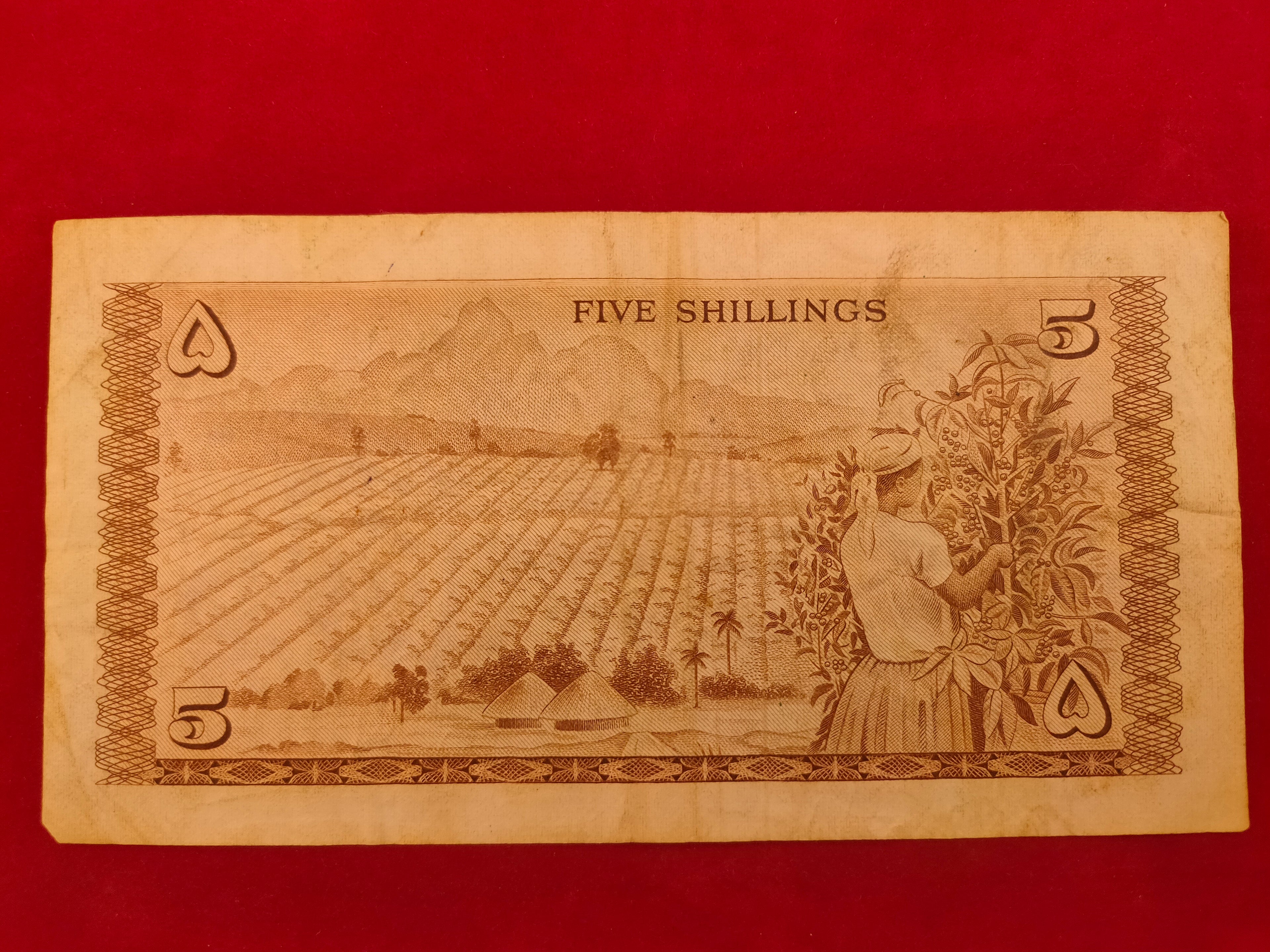 BANK OF KENYA 5 SHILINGI (602)