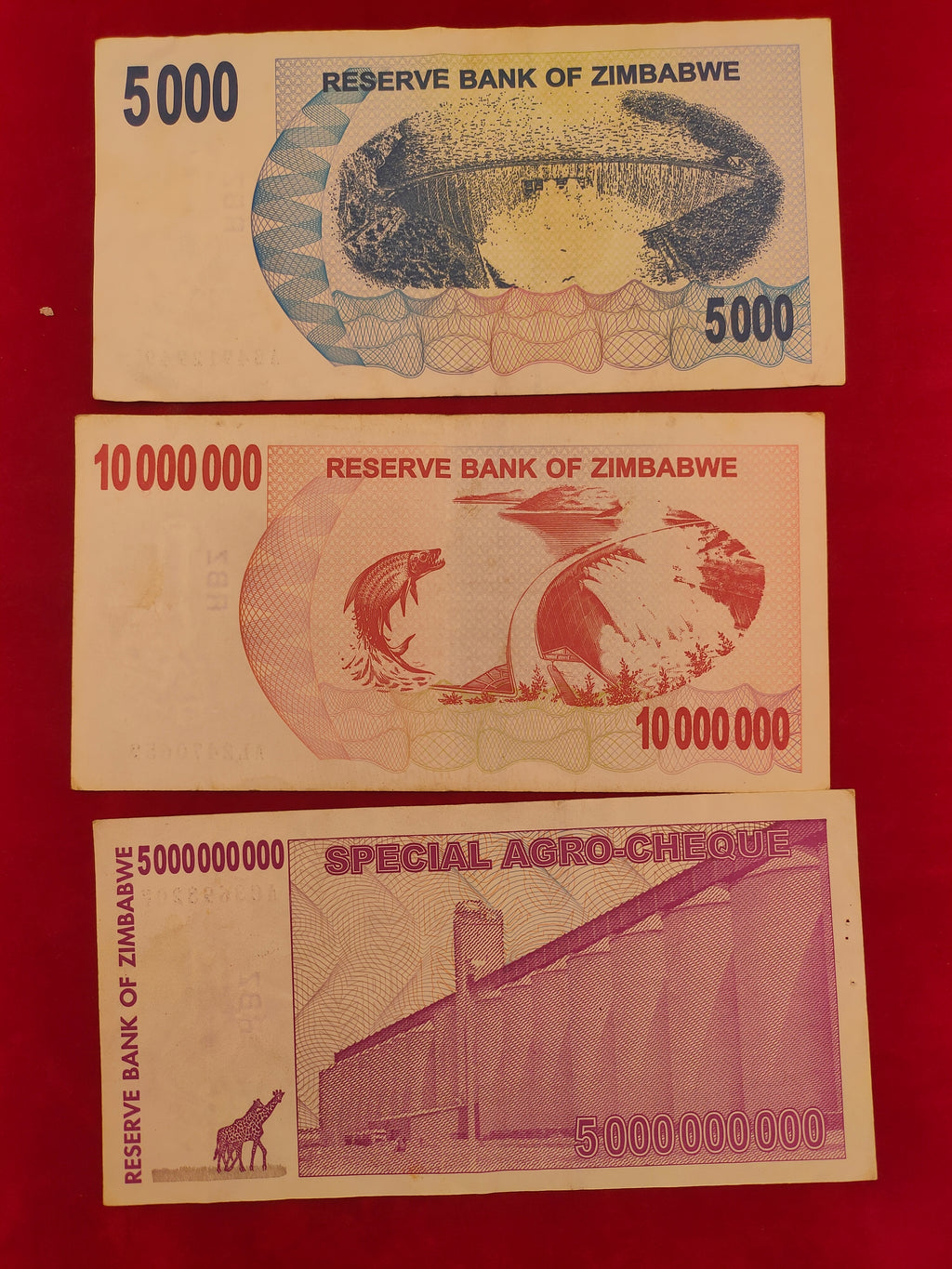 RESERVE BANK OF ZIMBABWE 5000, 5000000000, 10000000, 100000000, 50000000000 DOLLARS (1073)