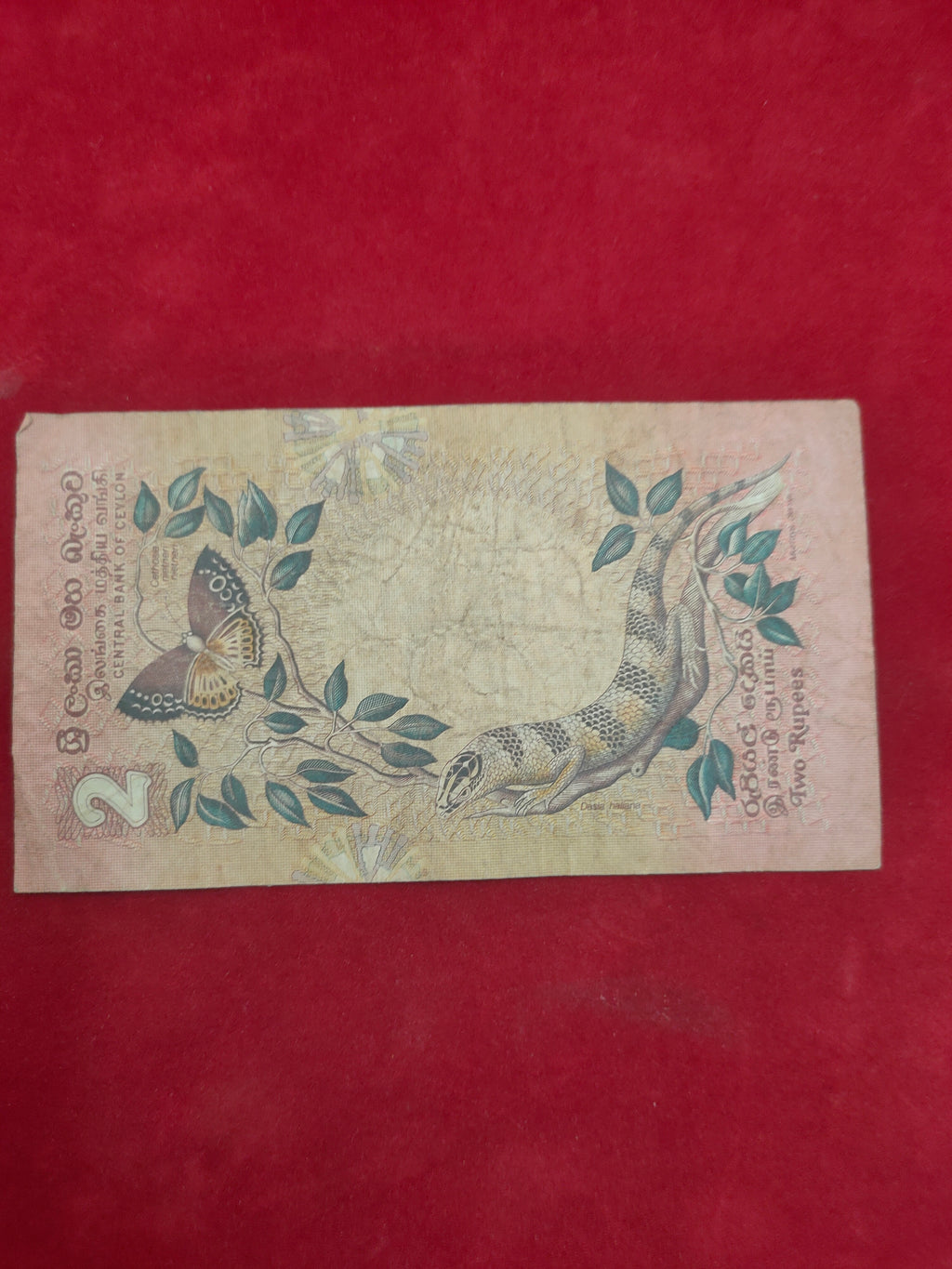 CENTRAL BANK OF CEYLON 2 RUPEES (D647)