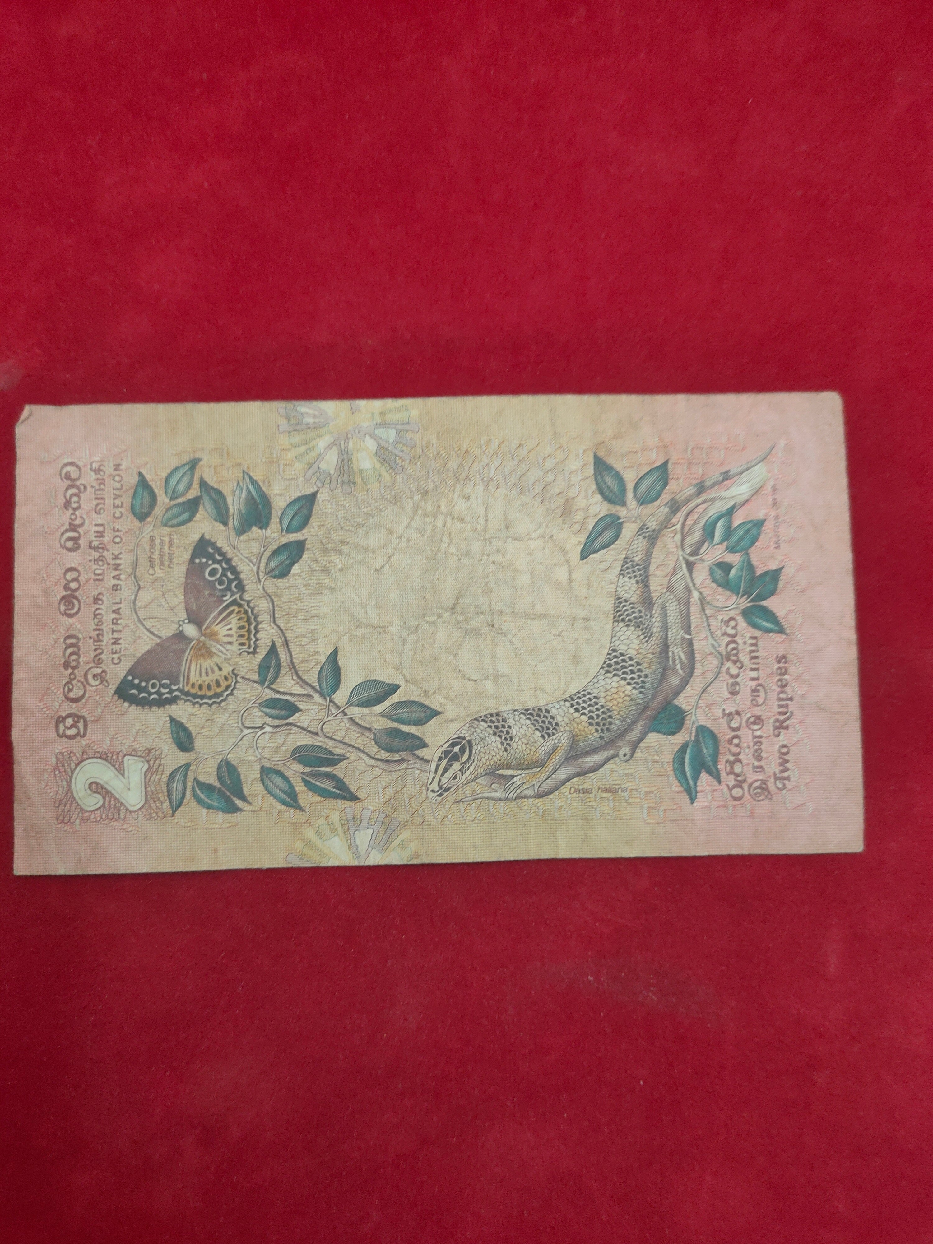 CENTRAL BANK OF CEYLON 2 RUPEES (D647)