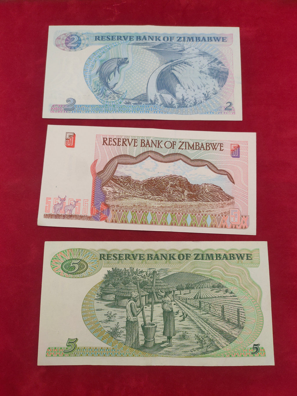 BANK OF ZIMBABWE 2, 5, 20, 100, 500 DOLLARS (936)
